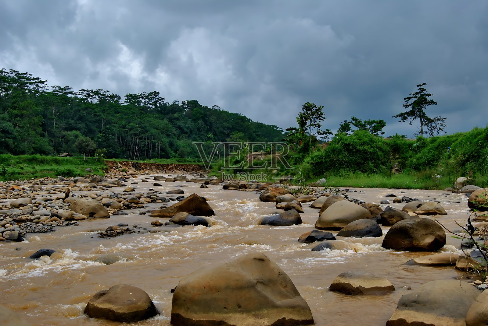 溪流在多岩石的森林景观中快速流淌,营造出动感而清新的氛围照片摄影图片