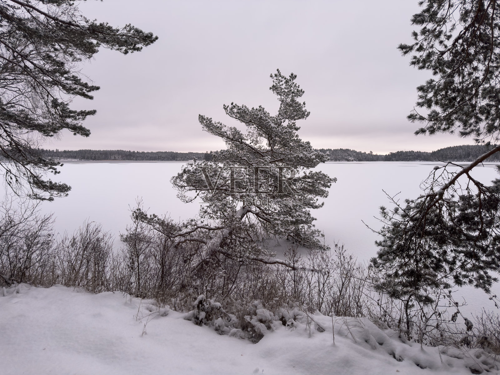 瑞典冬季的自然风光照片摄影图片