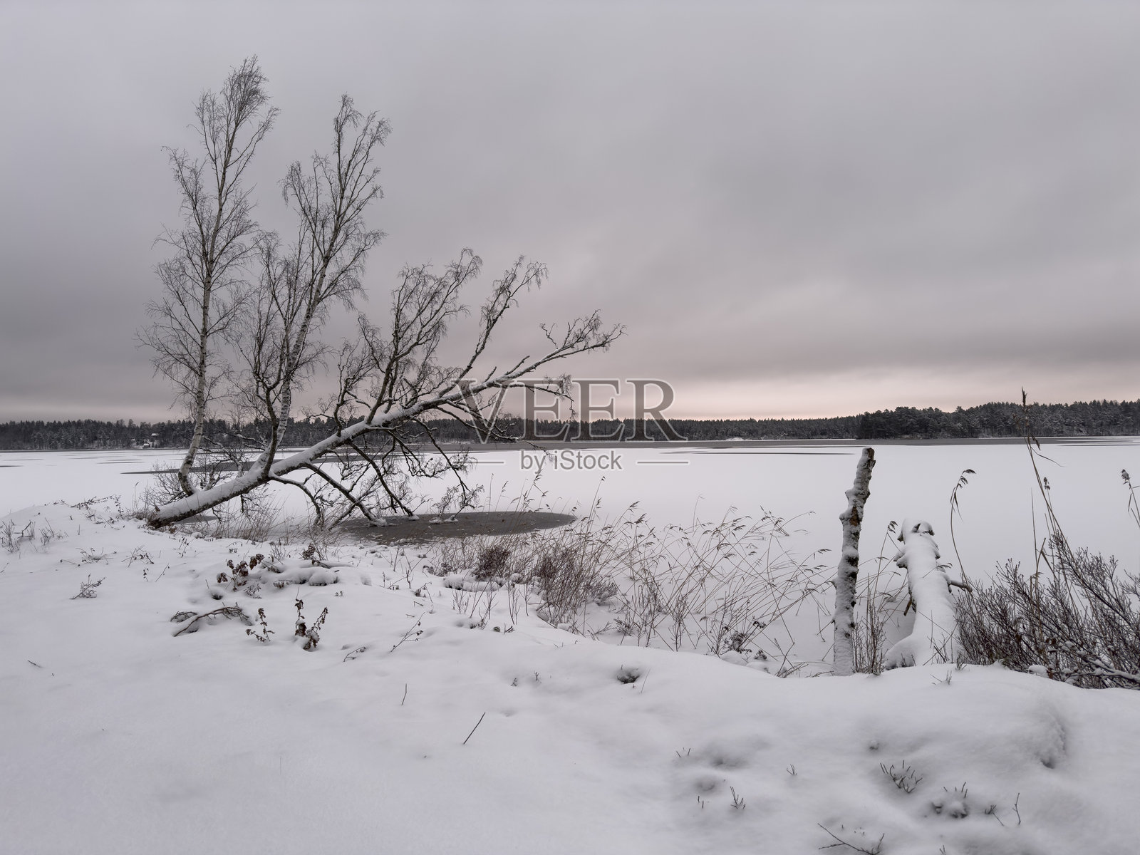 瑞典冬日自然风光照片摄影图片