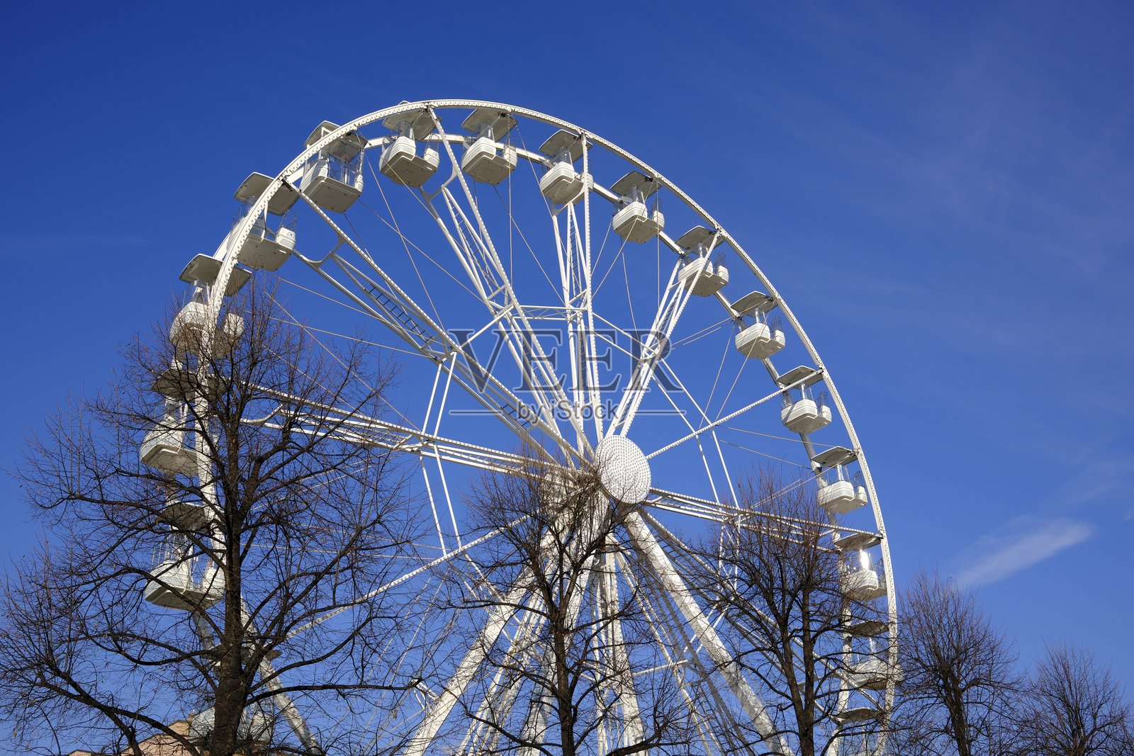 意大利阿罗纳,落叶树后的摩天轮照片摄影图片