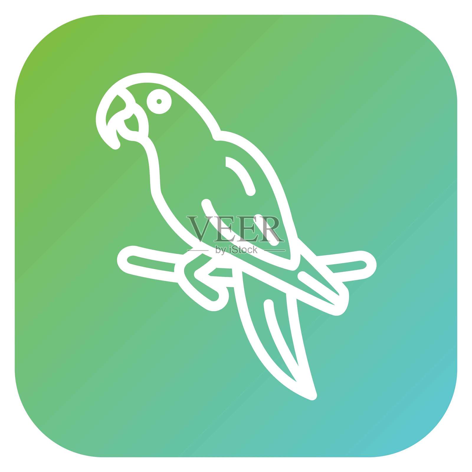 矢量设计的金刚鹦鹉图标风格插画图片素材