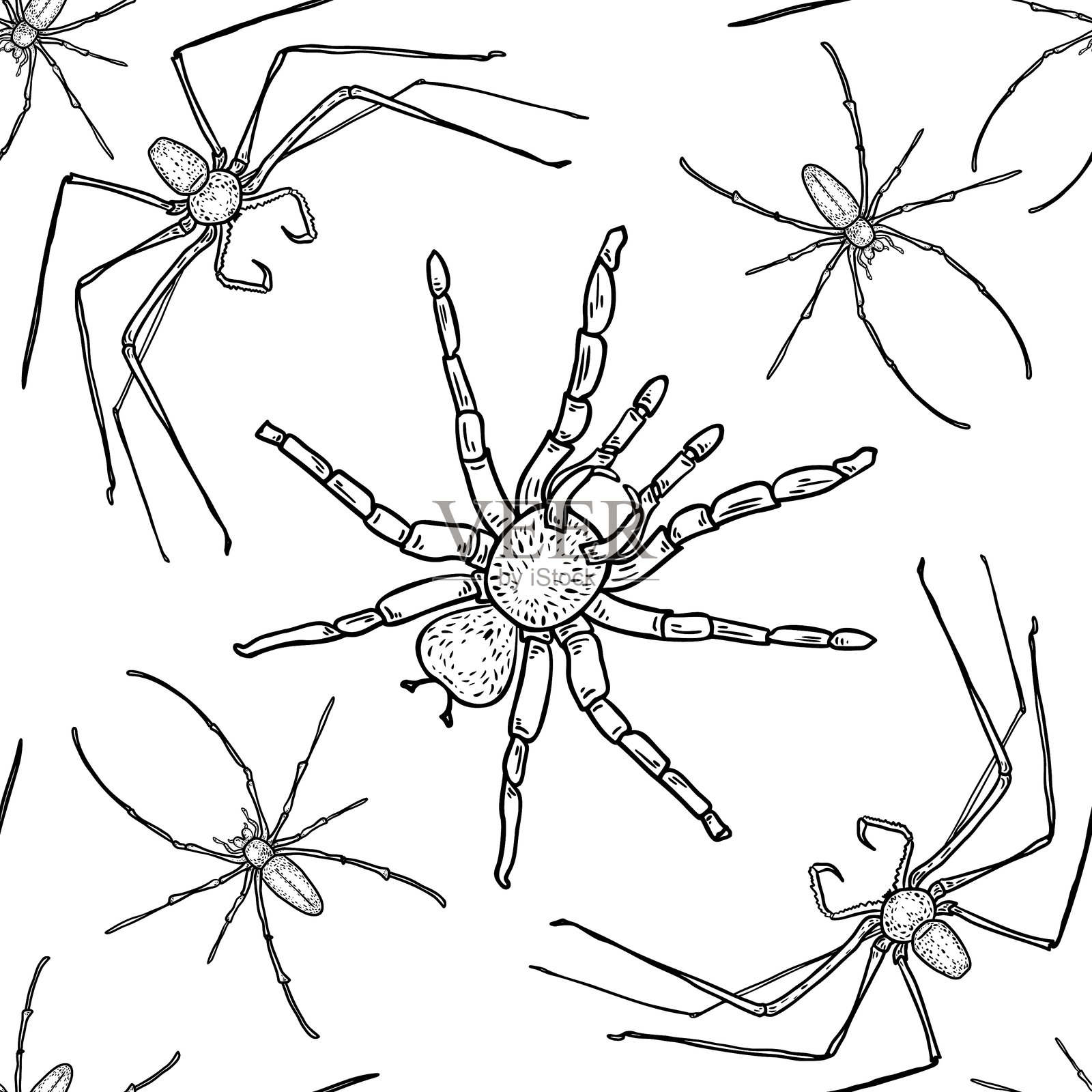 黑色轮廓蜘蛛手绘无缝图案插画图片素材
