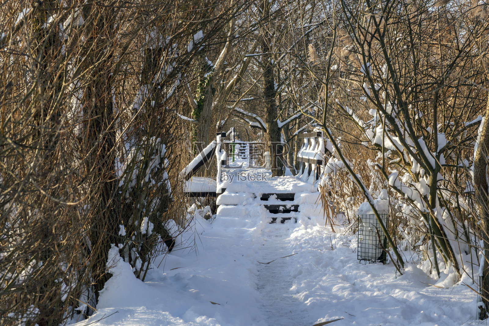 冬季雪覆盖的林间小路,旁边有木桥和栅栏,靠近自然区域照片摄影图片