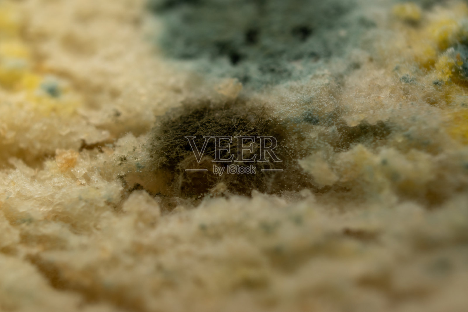 面包上霉菌生长的宏观图像照片摄影图片