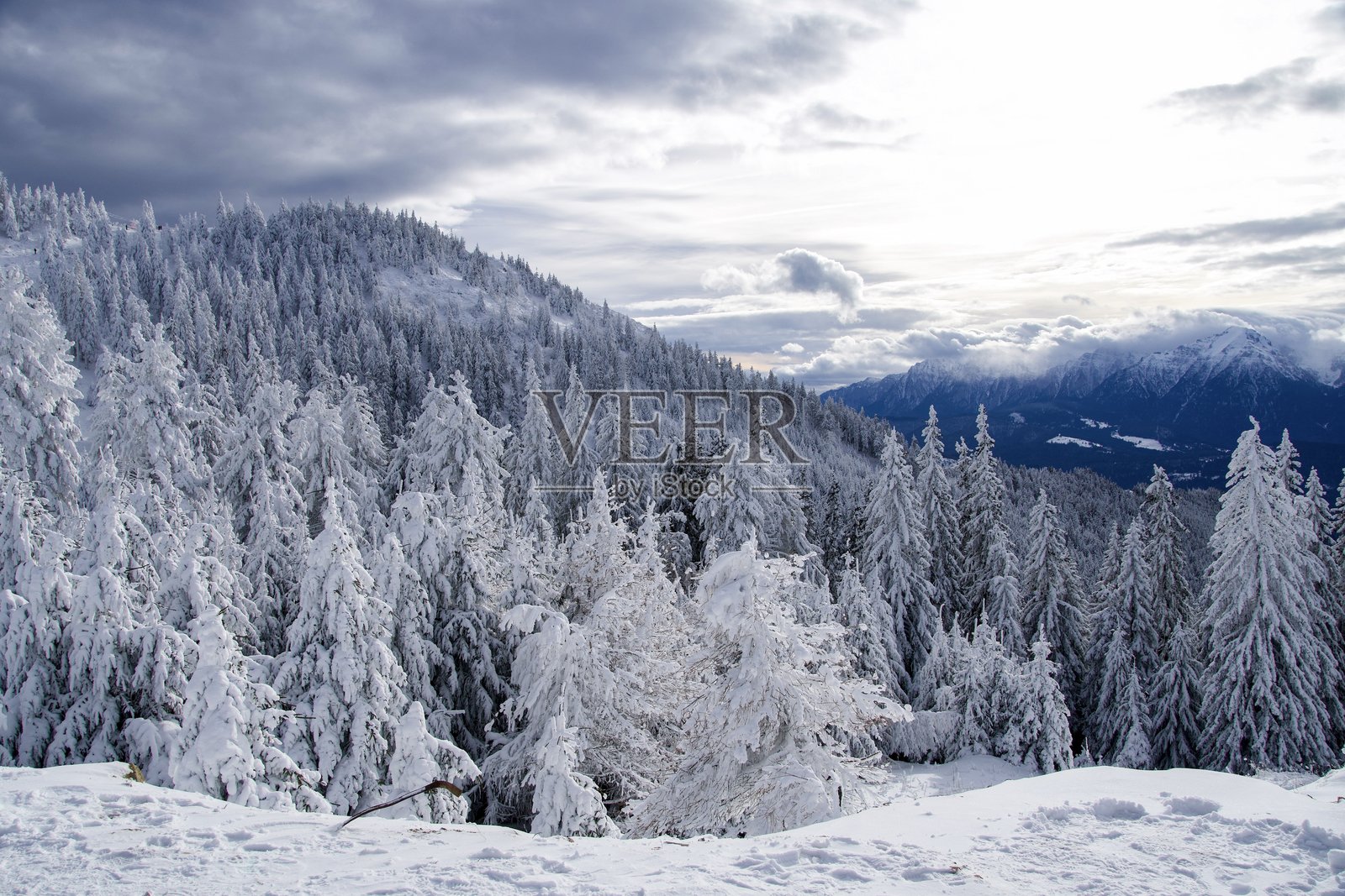 冬季仙境,罗马尼亚波斯塔瓦鲁山照片摄影图片