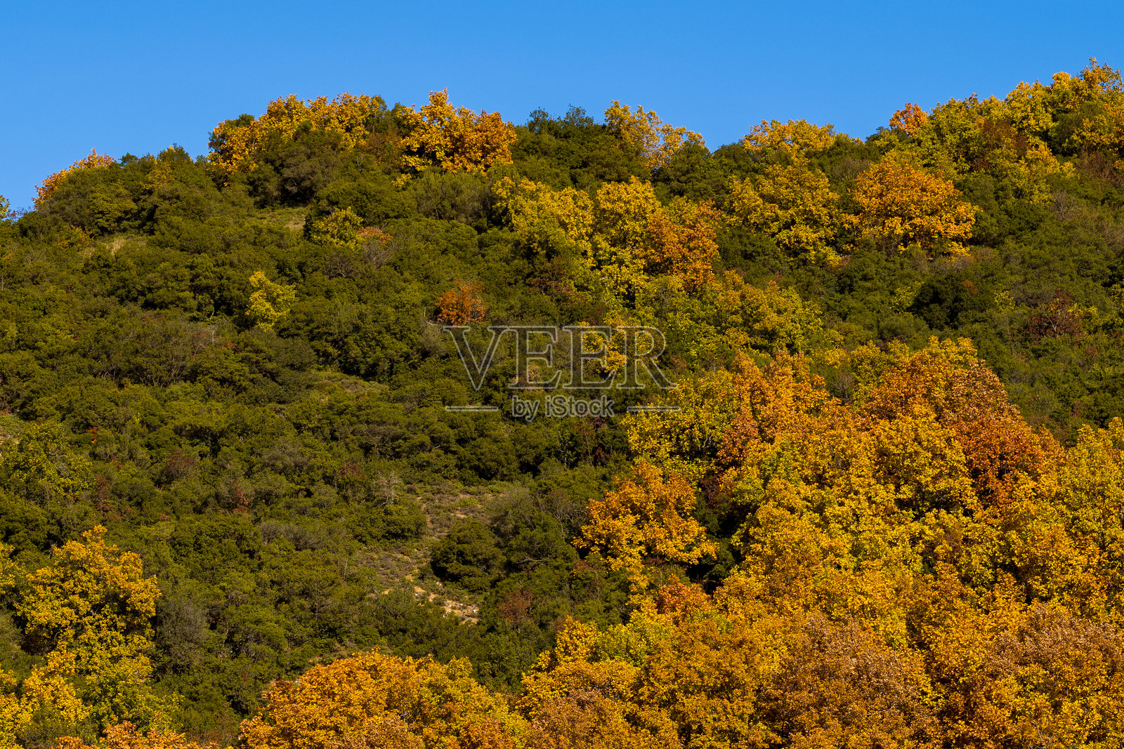 阳光下的希腊山坡,秋意盎然照片摄影图片