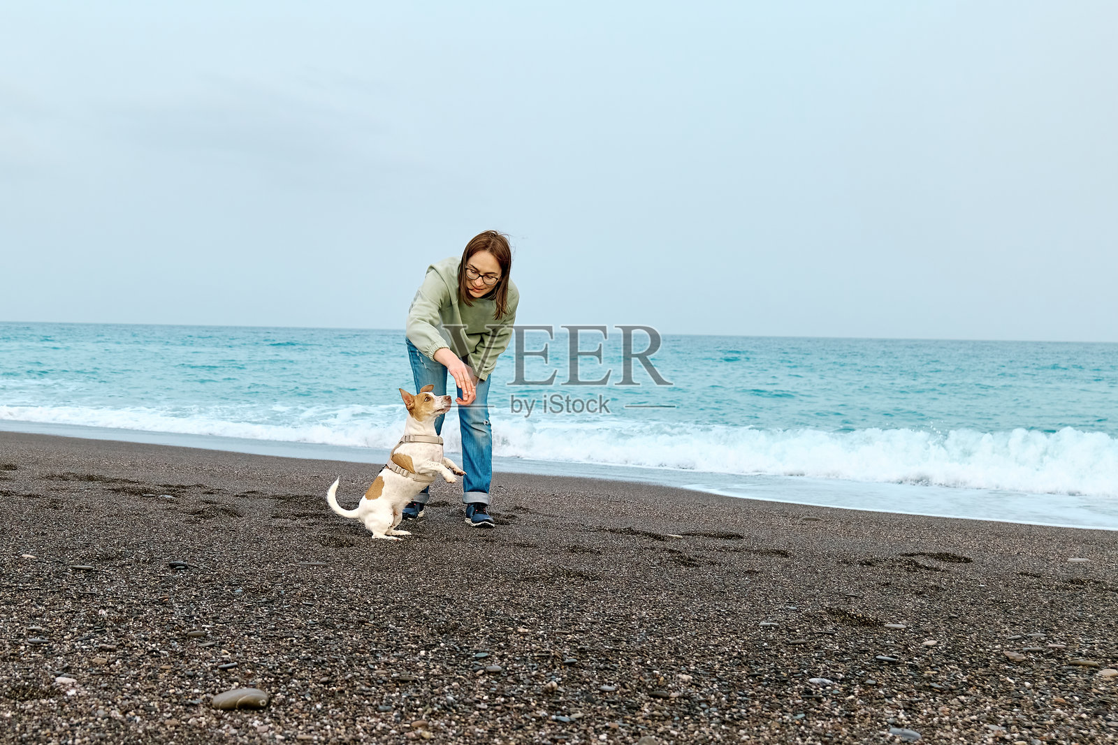 女士在中等季节的海滩上陪伴她的杰克罗素梗犬,训练和玩耍。照片摄影图片