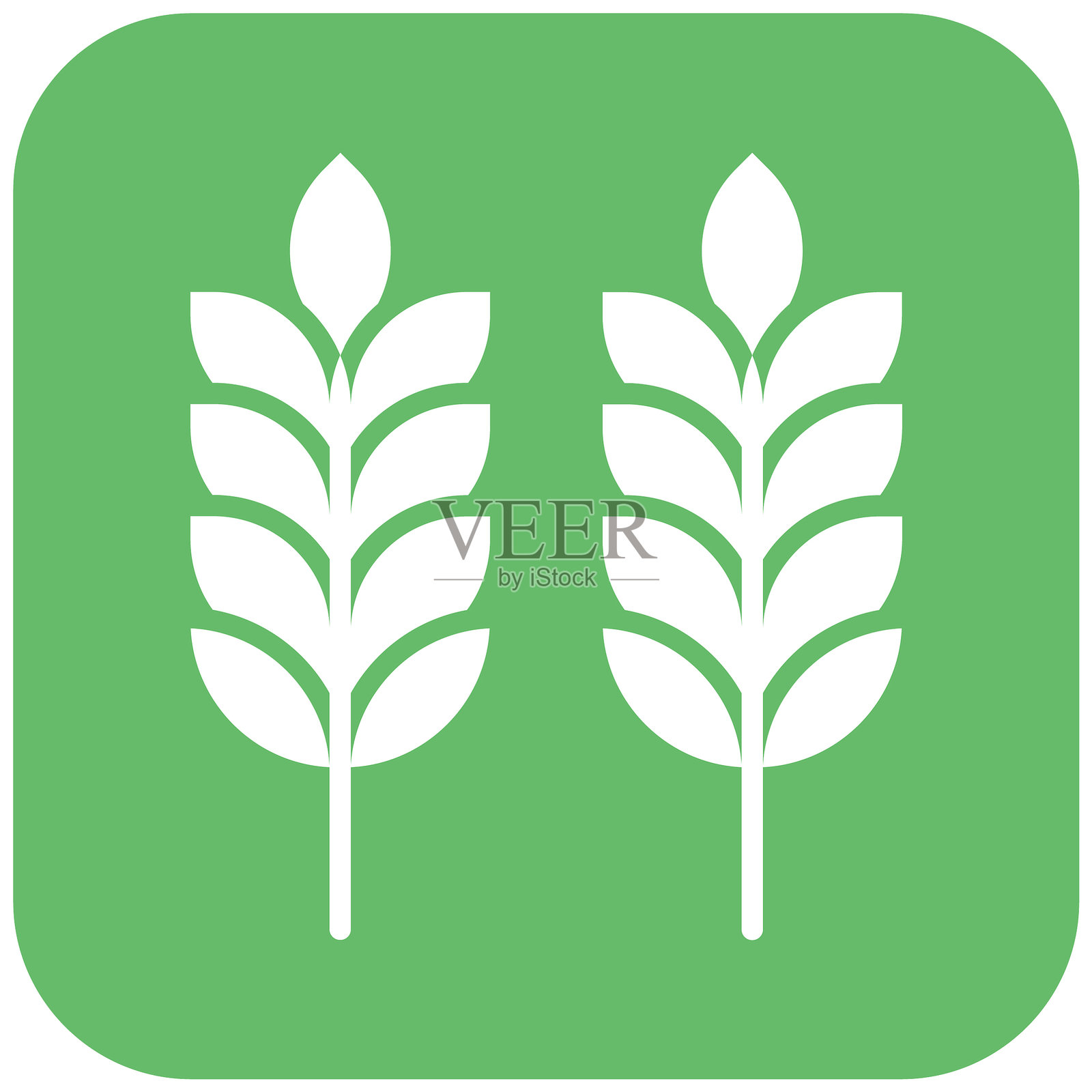 小麦矢量图标插画图片素材