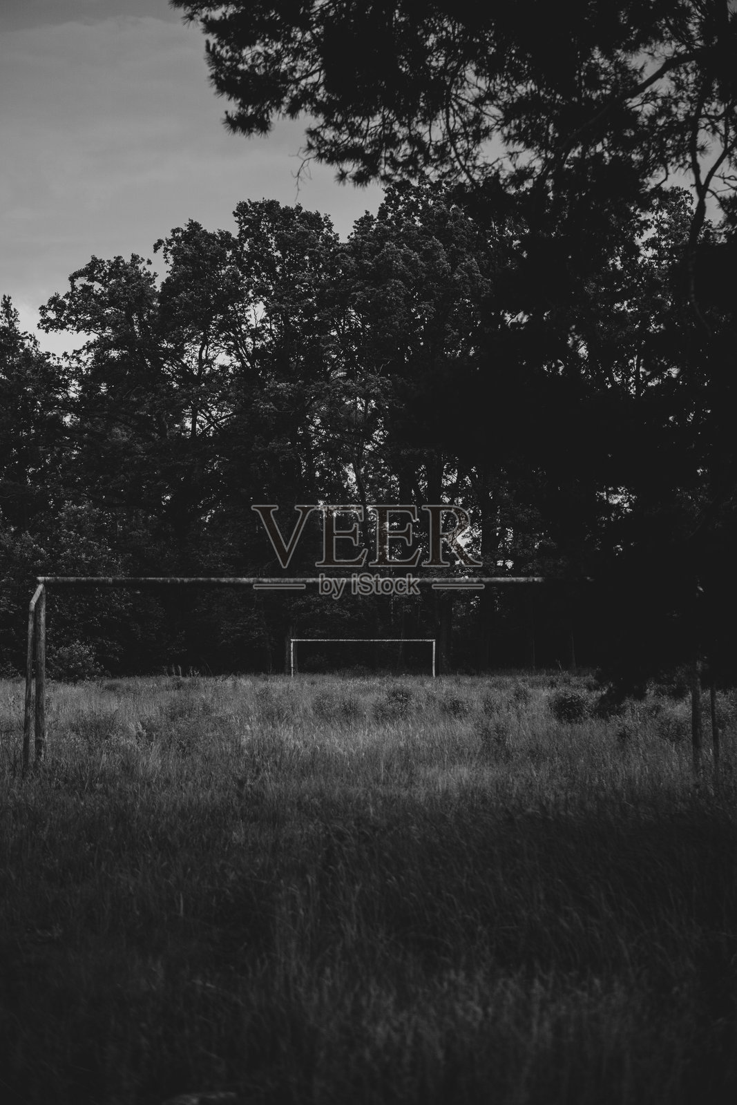 废弃的、杂草丛生的体育场,靠近公园,黑白照片照片摄影图片