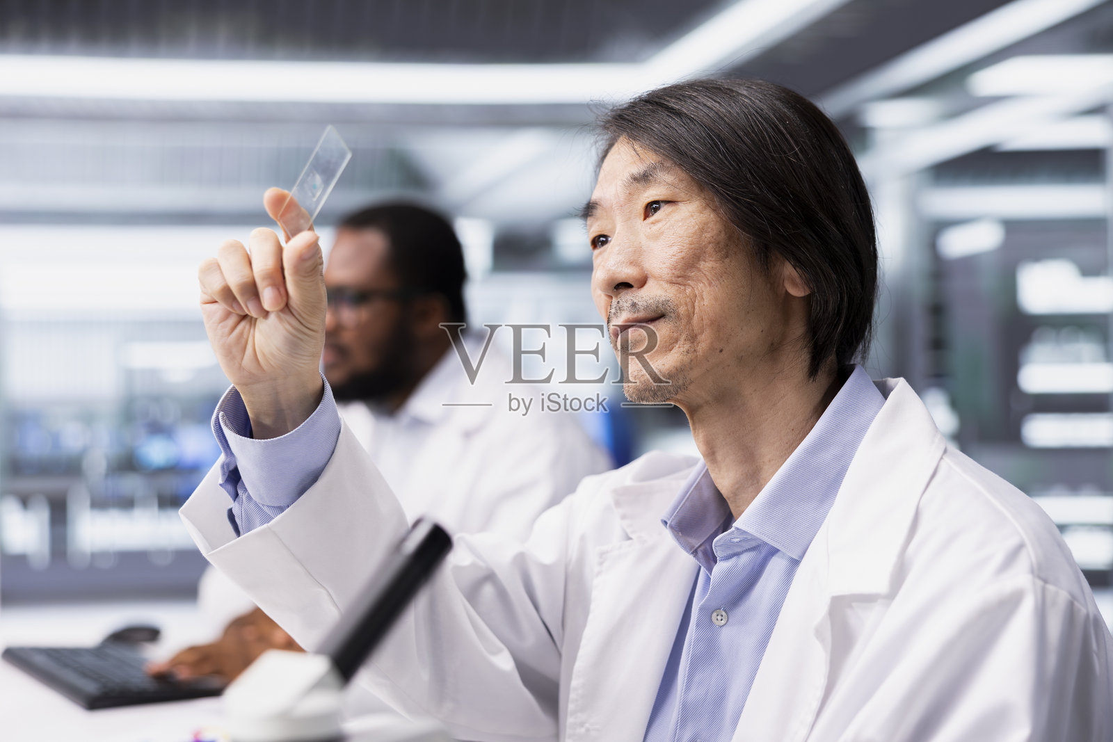 科学家在实验室里将载玻片放入显微镜下检查照片摄影图片