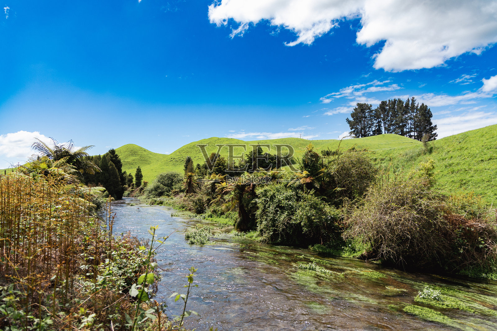 郁郁葱葱的河流蜿蜒流过绿意盎然的起伏山丘照片摄影图片