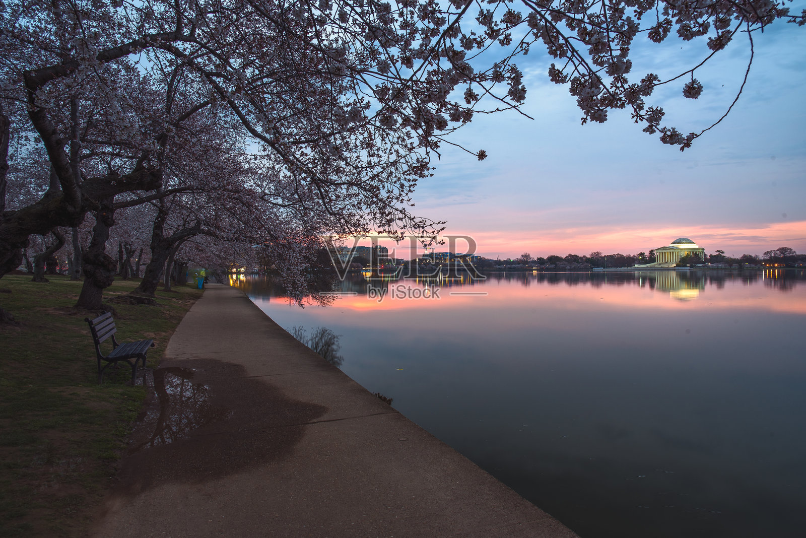 日出时分,美国华盛顿特区的托马斯·杰斐逊纪念堂四周的樱花树静谧而美丽照片摄影图片