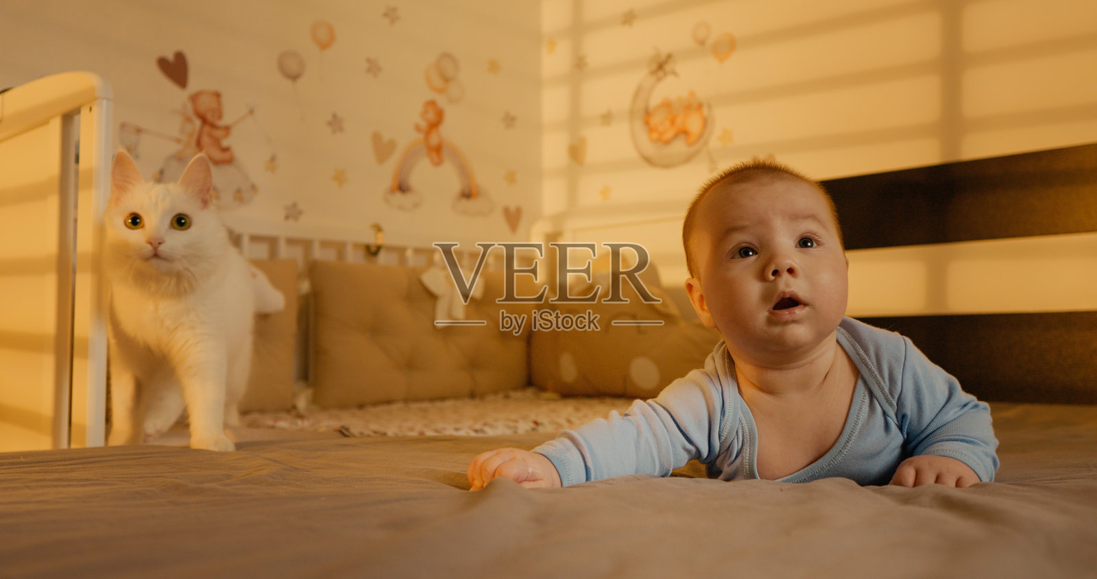 刚出生的婴儿在床上和猫玩耍,猫咪则在后面用眼睛跟着她,场景在家中。照片摄影图片