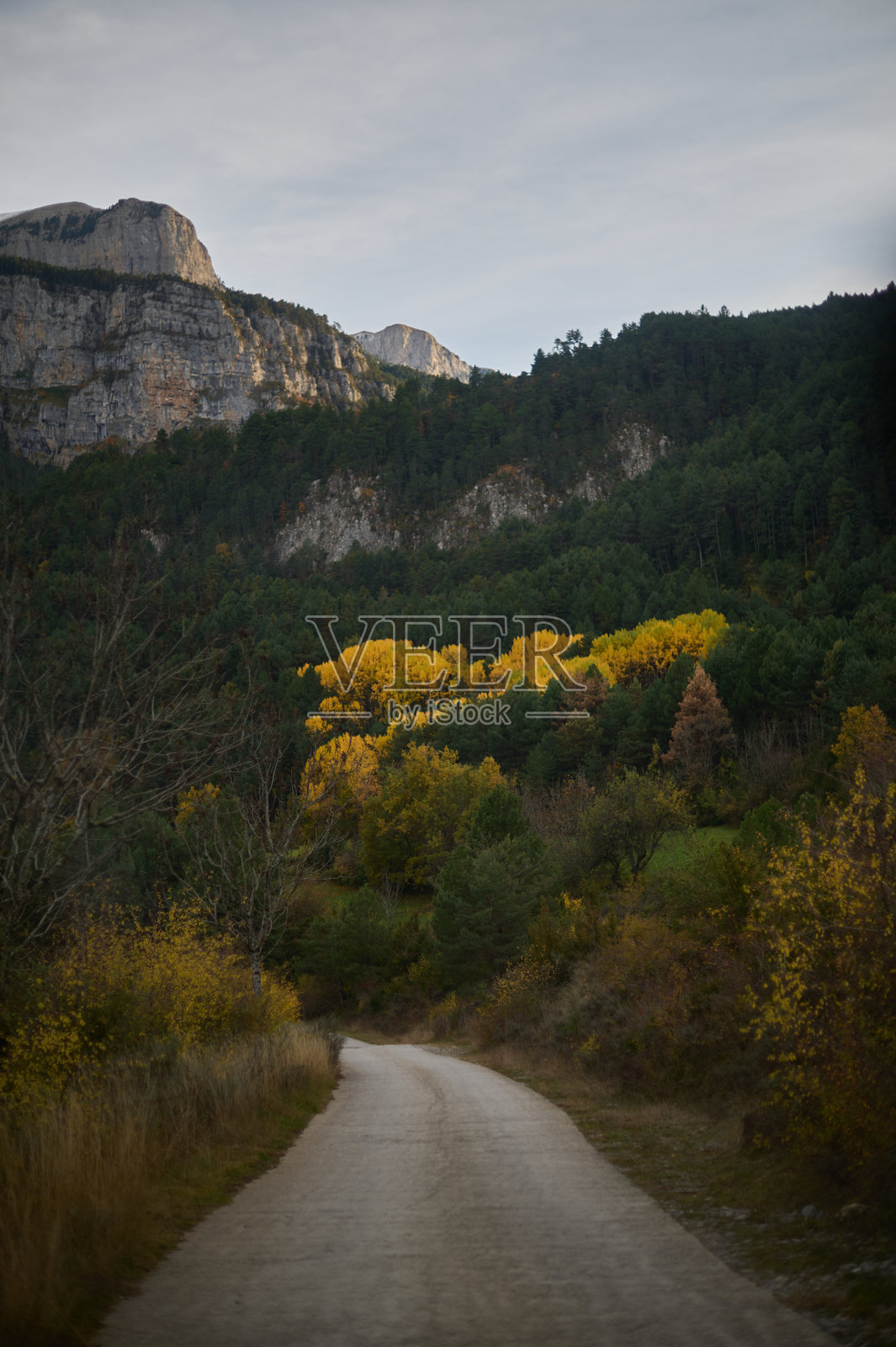 秋季,一个人在萨拉维略村附近的森林小径上徒步,背景是比利牛斯山脉。照片摄影图片