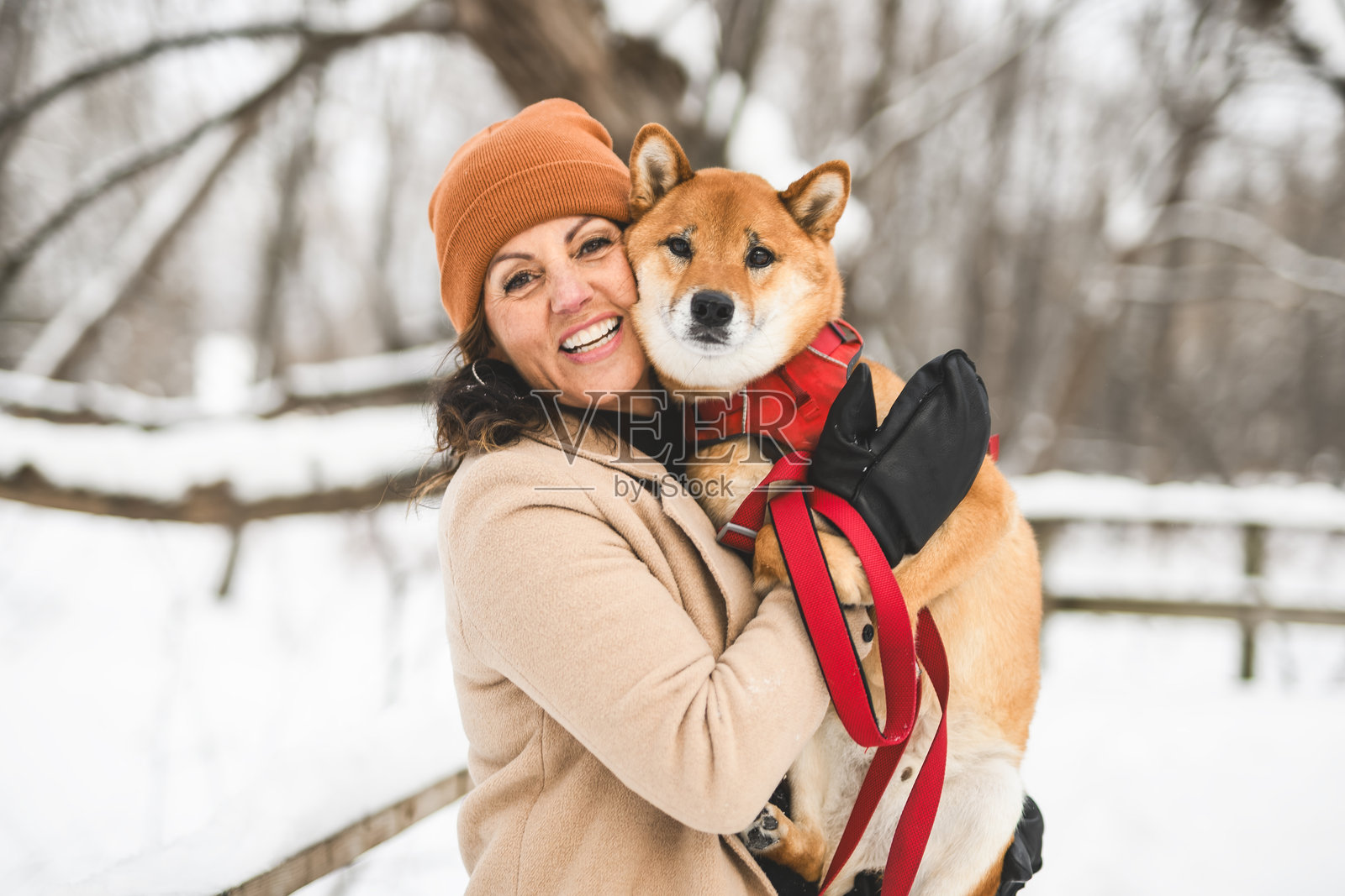 一只红色柴犬幼犬在森林雪地边缘与女主人合影照片摄影图片
