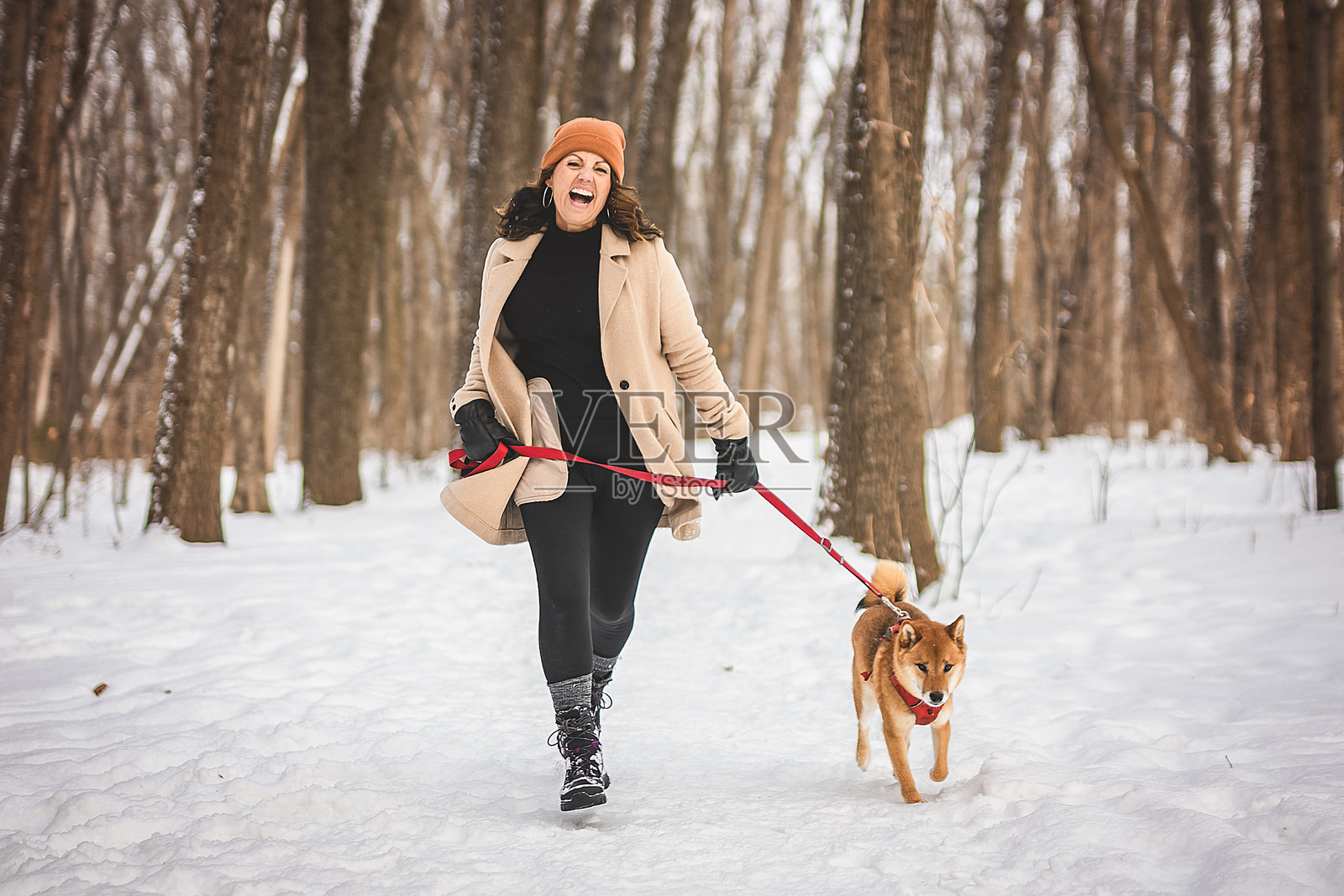一只红色的柴犬幼犬在森林雪地边缘与女主人合影照片摄影图片