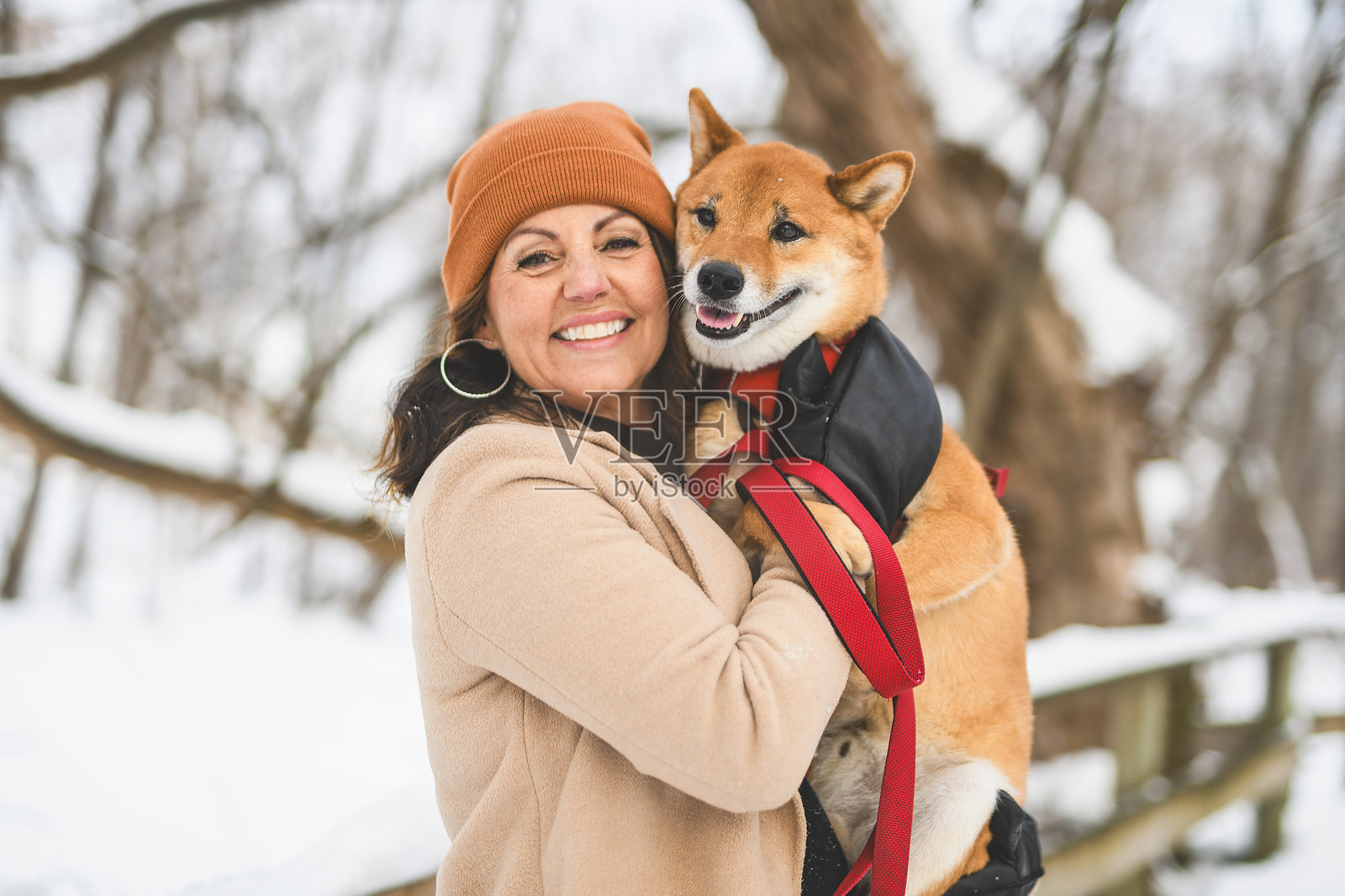 一只红色柴犬幼犬在森林雪地边缘与女主人合影照片摄影图片