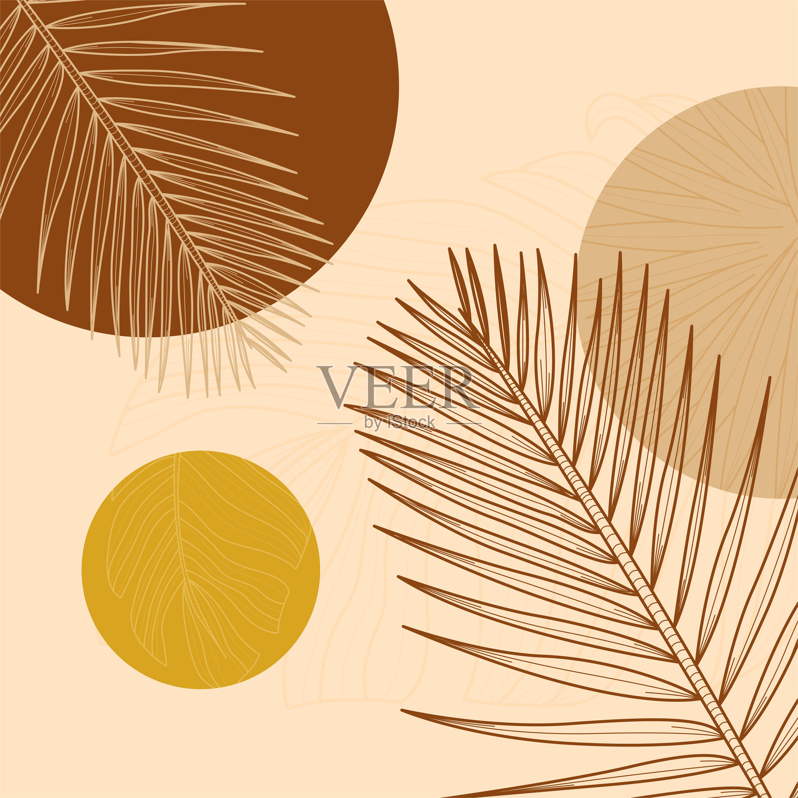 波西米亚植物抽象插画插画图片素材