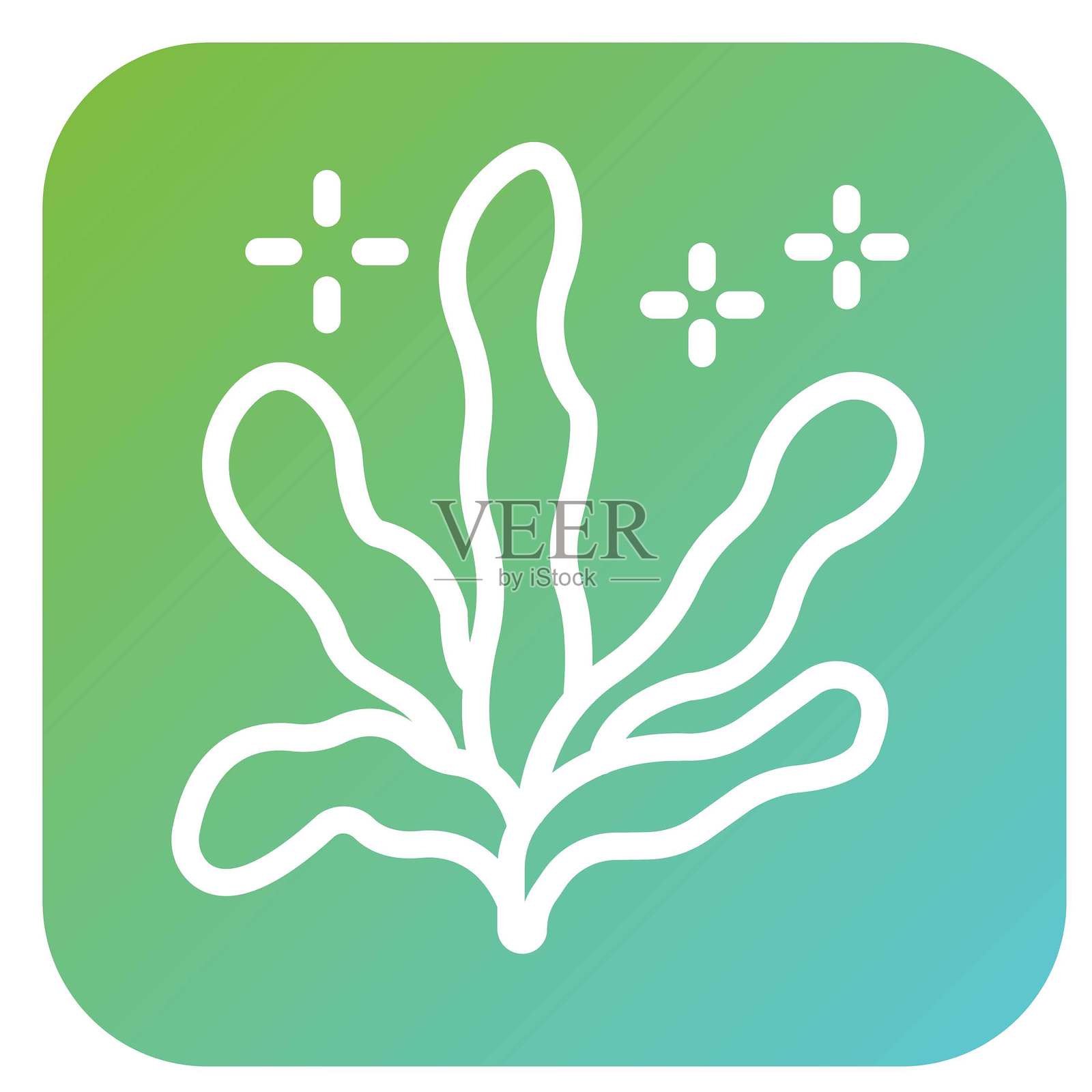 矢量海带设计图标风格插画图片素材