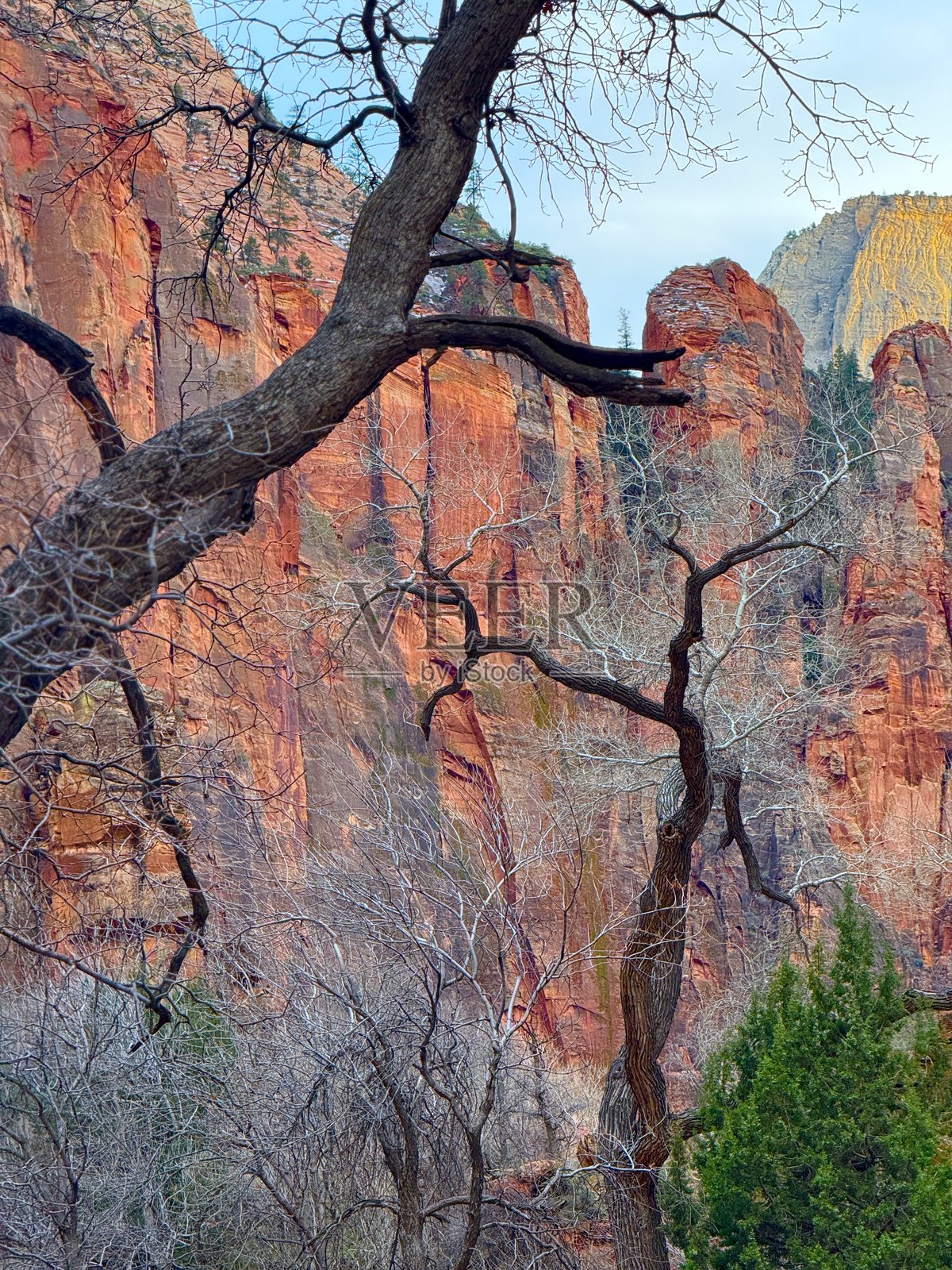 锡安国家公园照片摄影图片