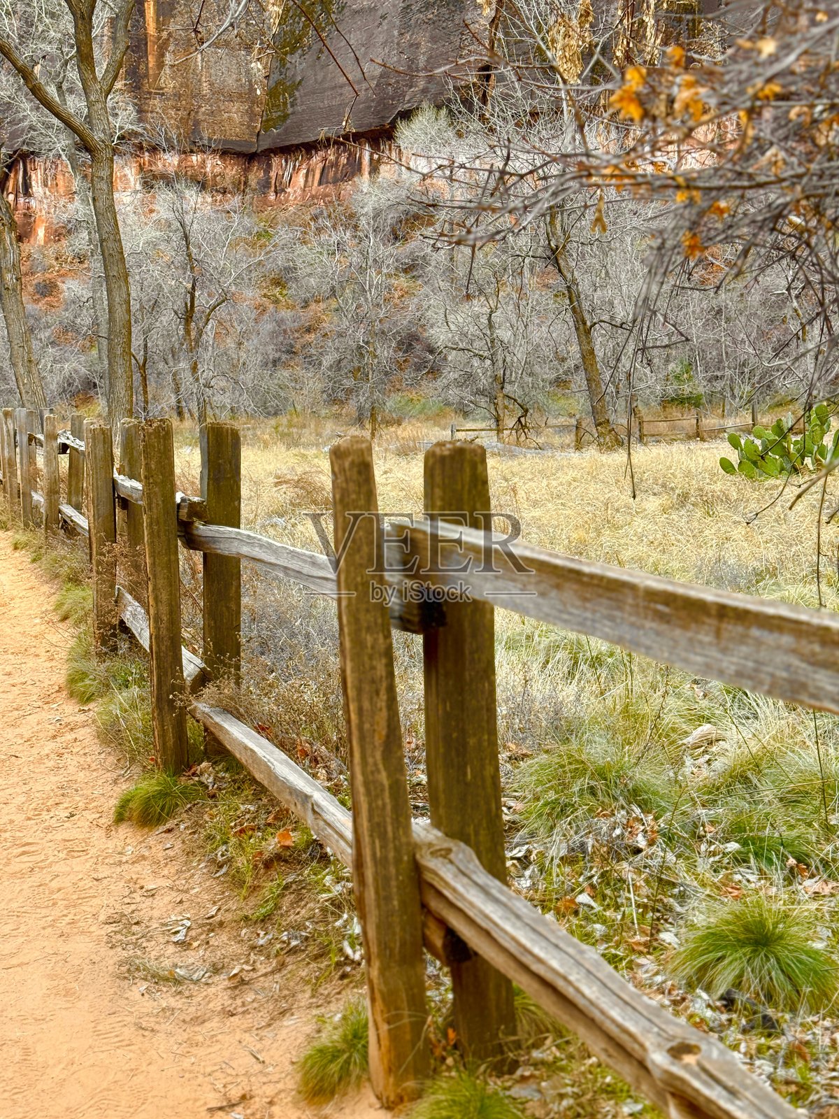 锡安国家公园照片摄影图片