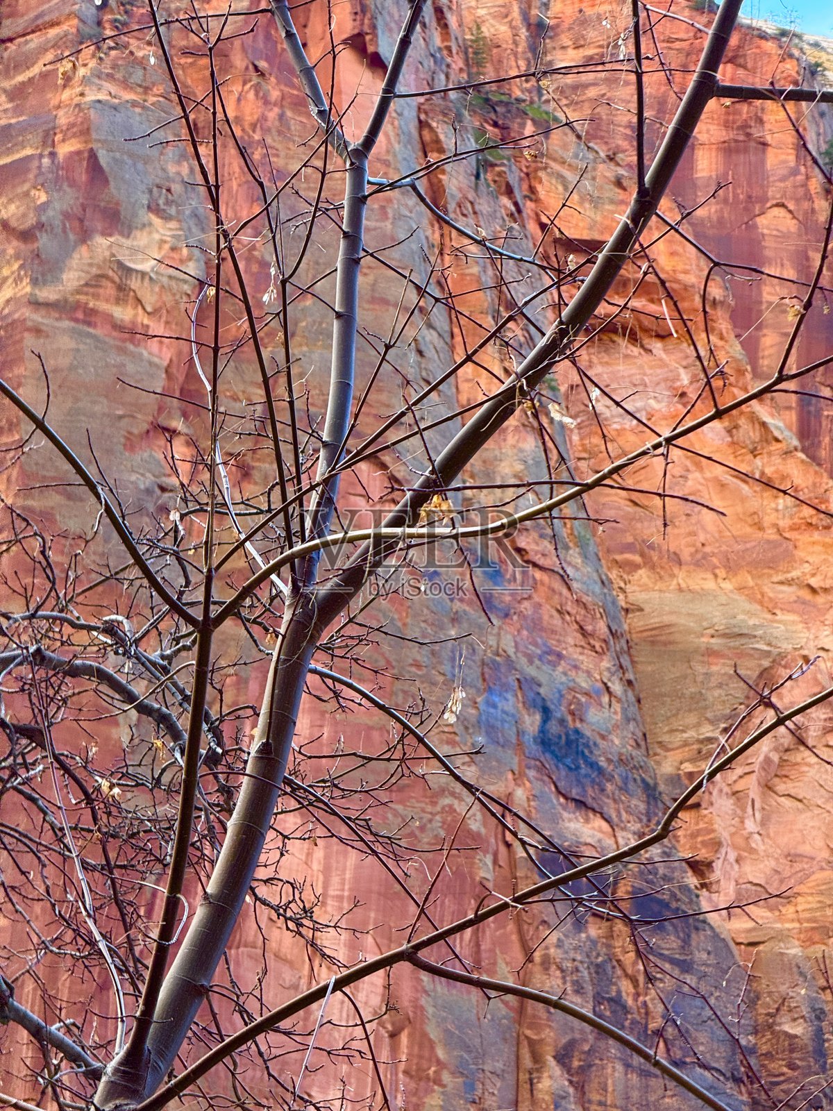 锡安国家公园照片摄影图片