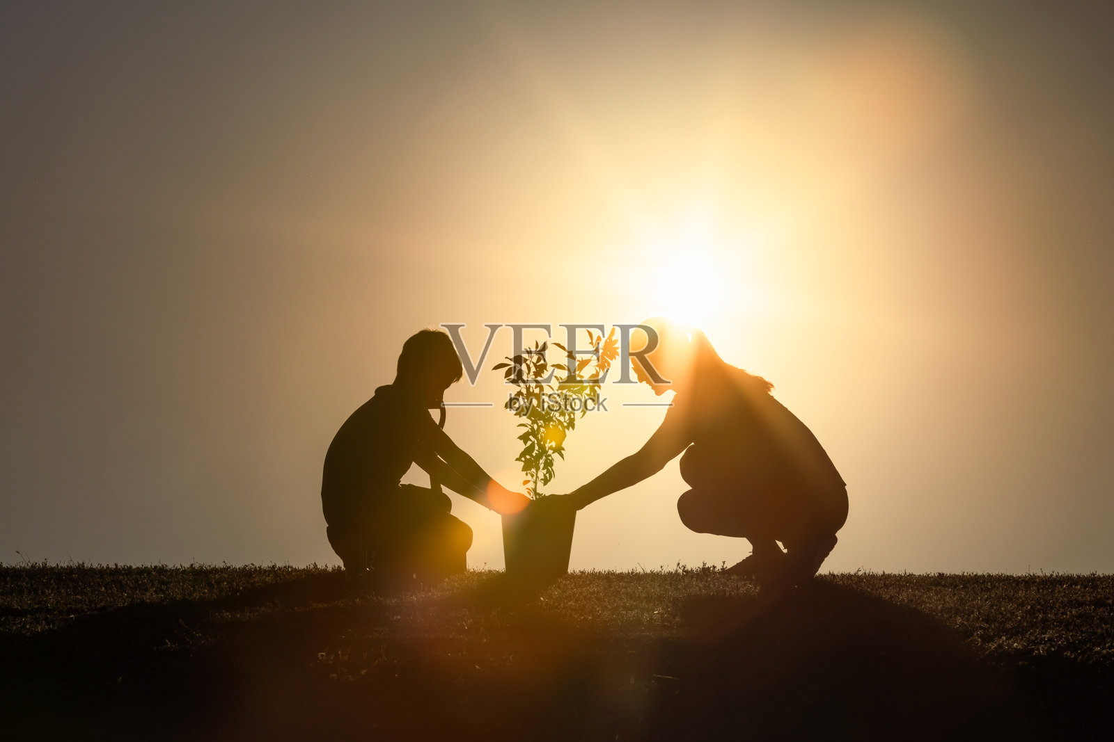 父母与孩子一起园艺的剪影——自然、成长与可持续性照片摄影图片