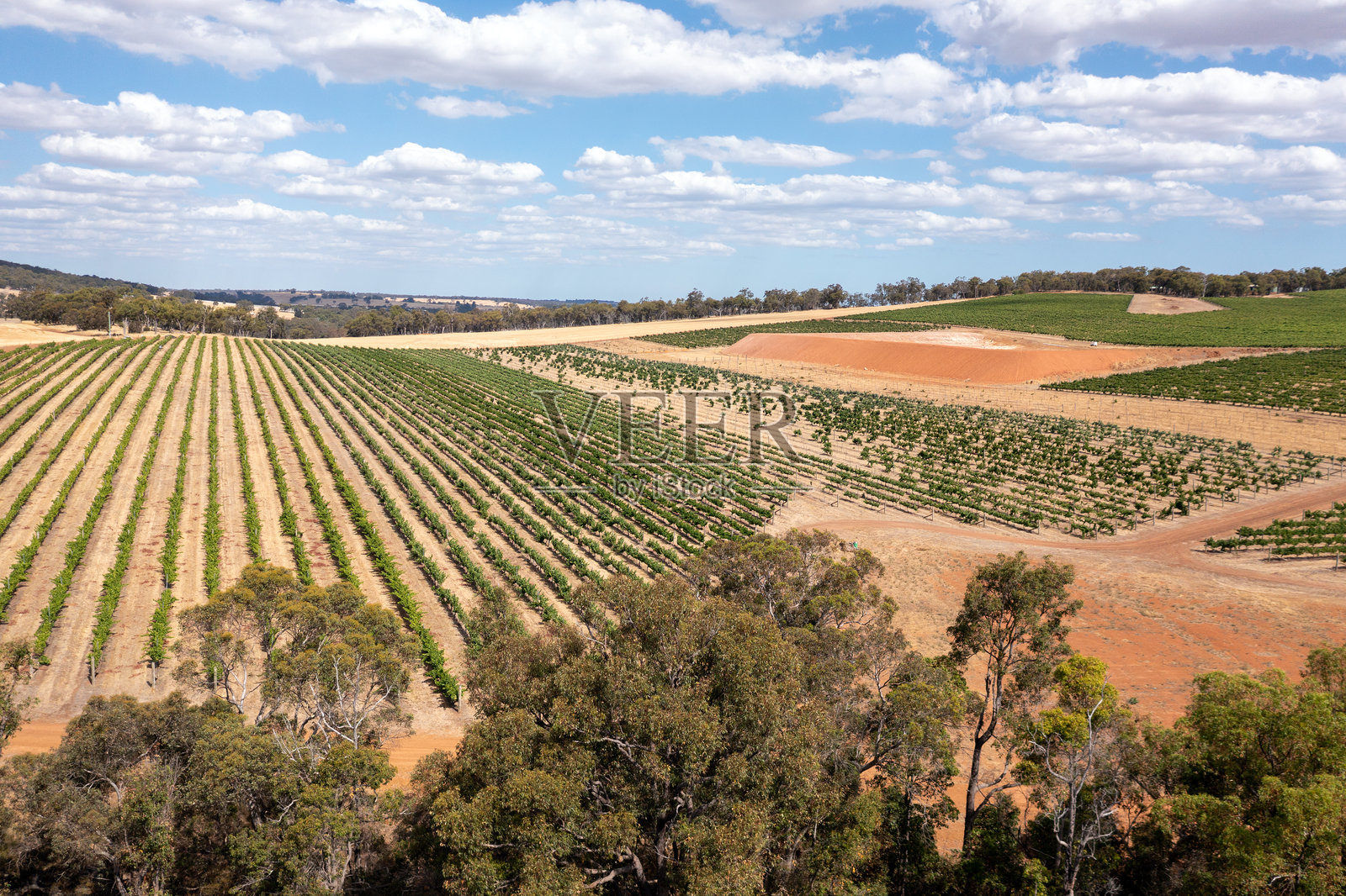 澳大利亚西部弗兰克兰河葡萄园的鸟瞰图照片摄影图片