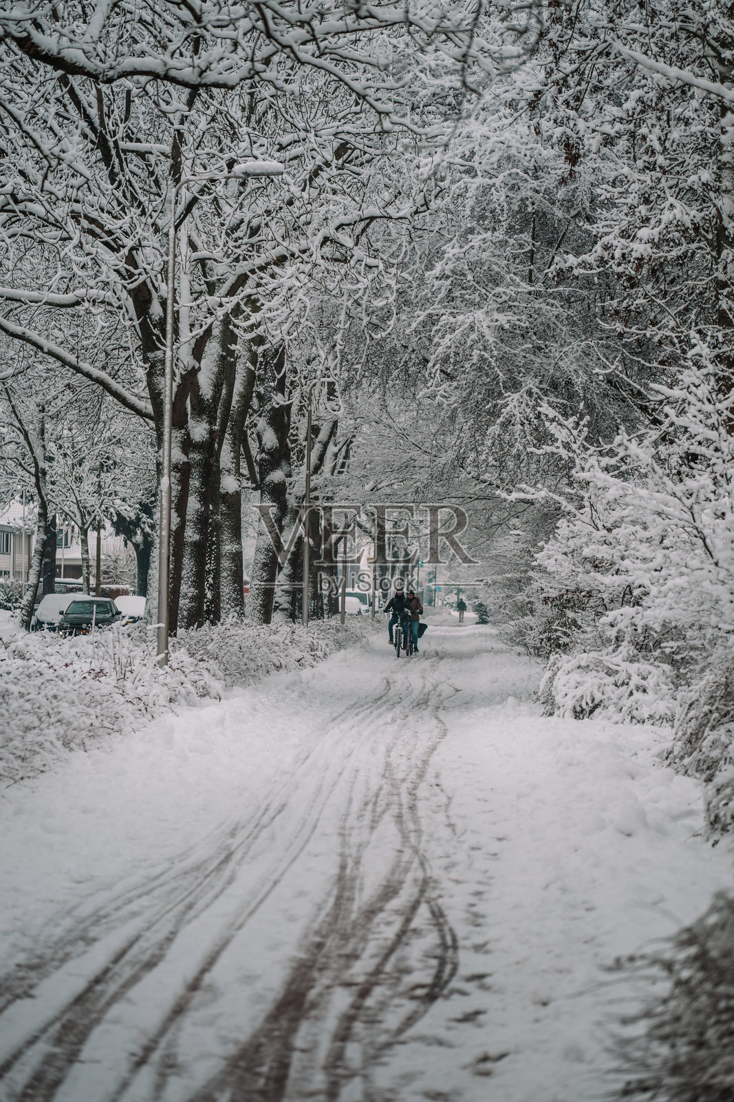 雪中的自行车照片摄影图片