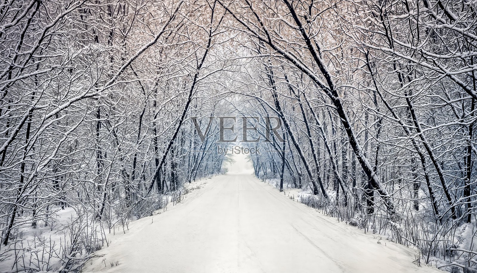 一条穿过森林的白色冬季道路照片摄影图片