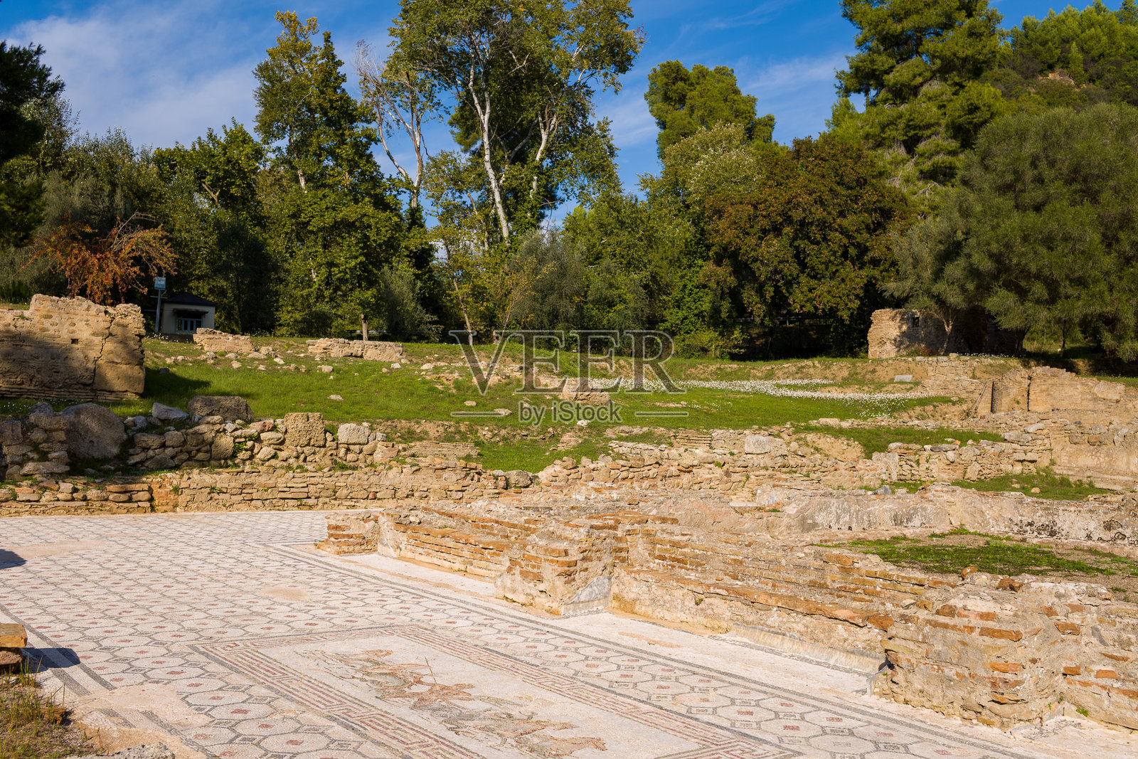 奥林匹亚克罗尼奥斯浴场的马赛克地板照片摄影图片
