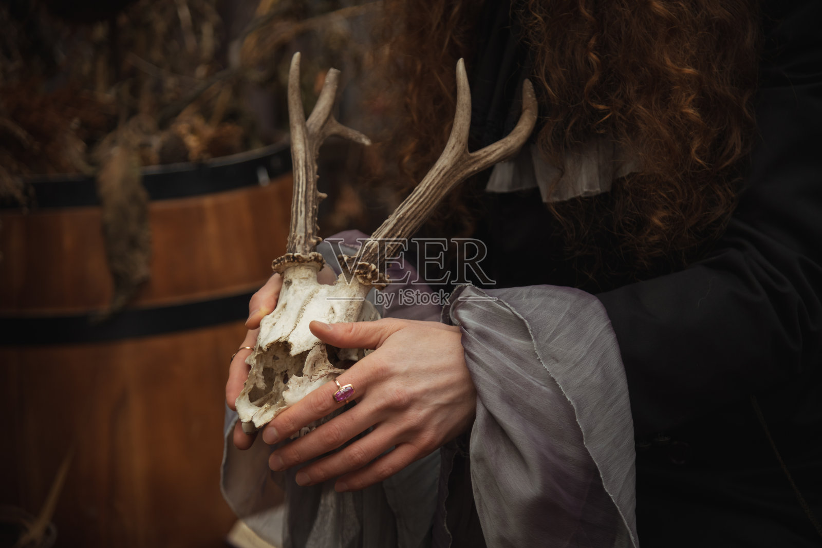 在光线昏暗的空间里,一只长着鹿角的动物头骨照片摄影图片