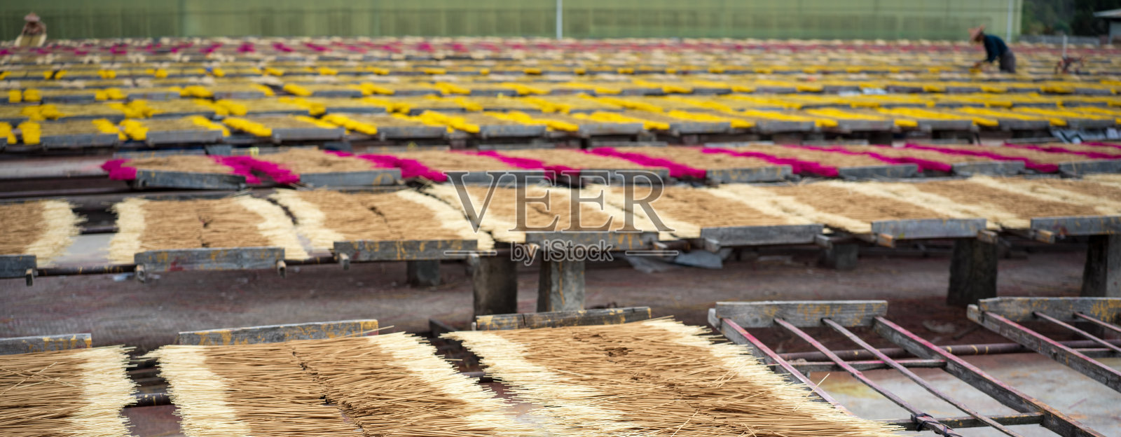 福建泉州永春县晾晒竹香照片摄影图片
