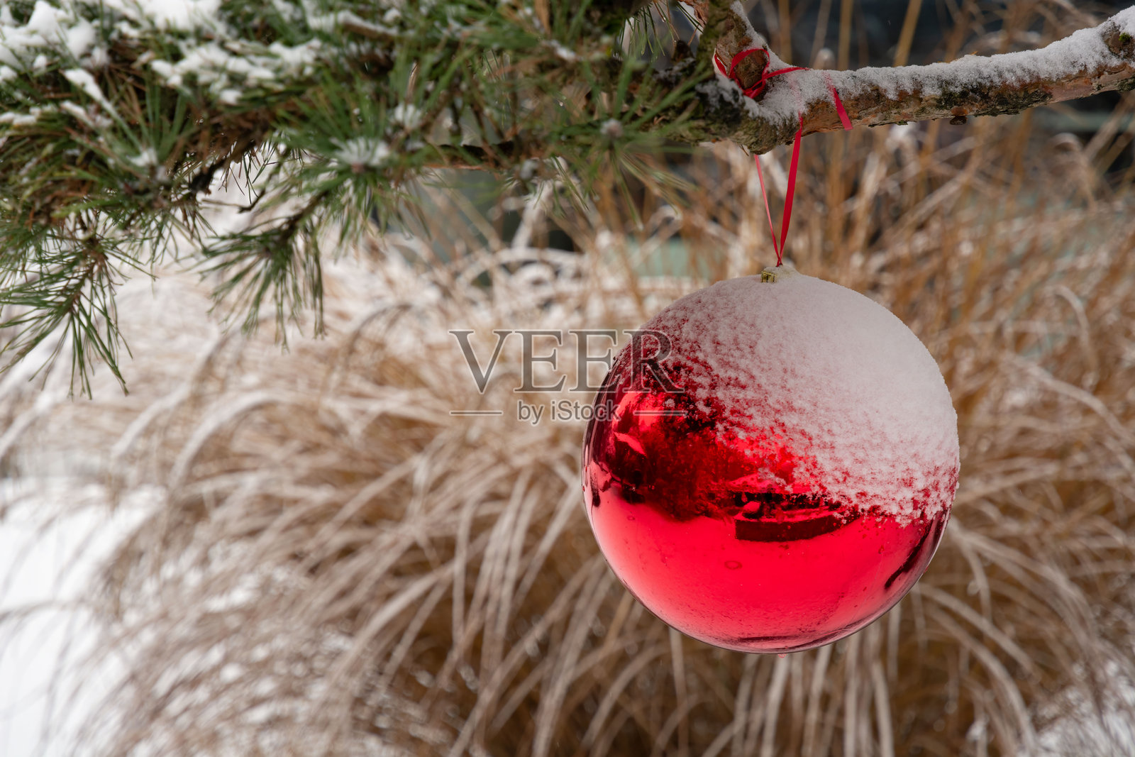 圣诞节城市景观背景,带有雪景和文字空间。白雪皑皑的城市景观。特写一棵覆盖着雪的松树枝上放置着一个大红球。照片摄影图片