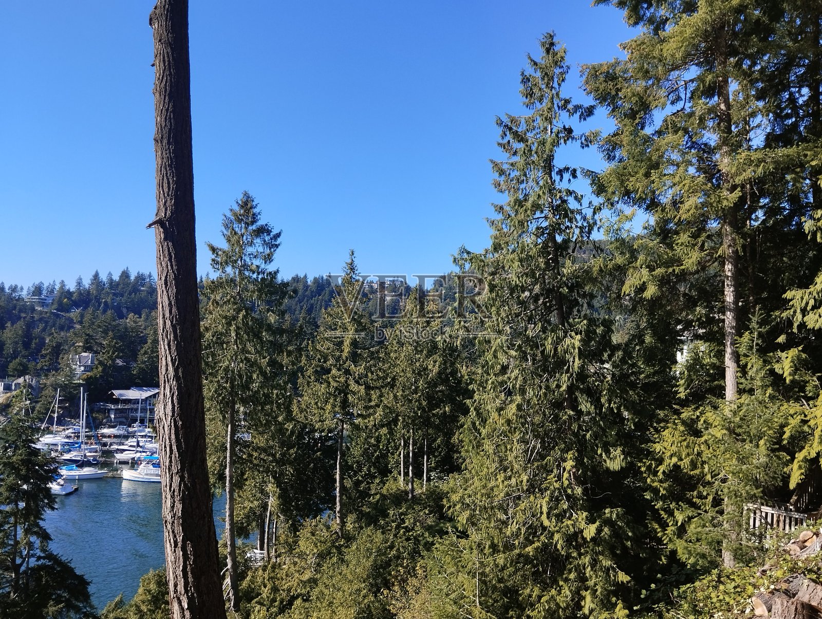 自然风光照片摄影图片