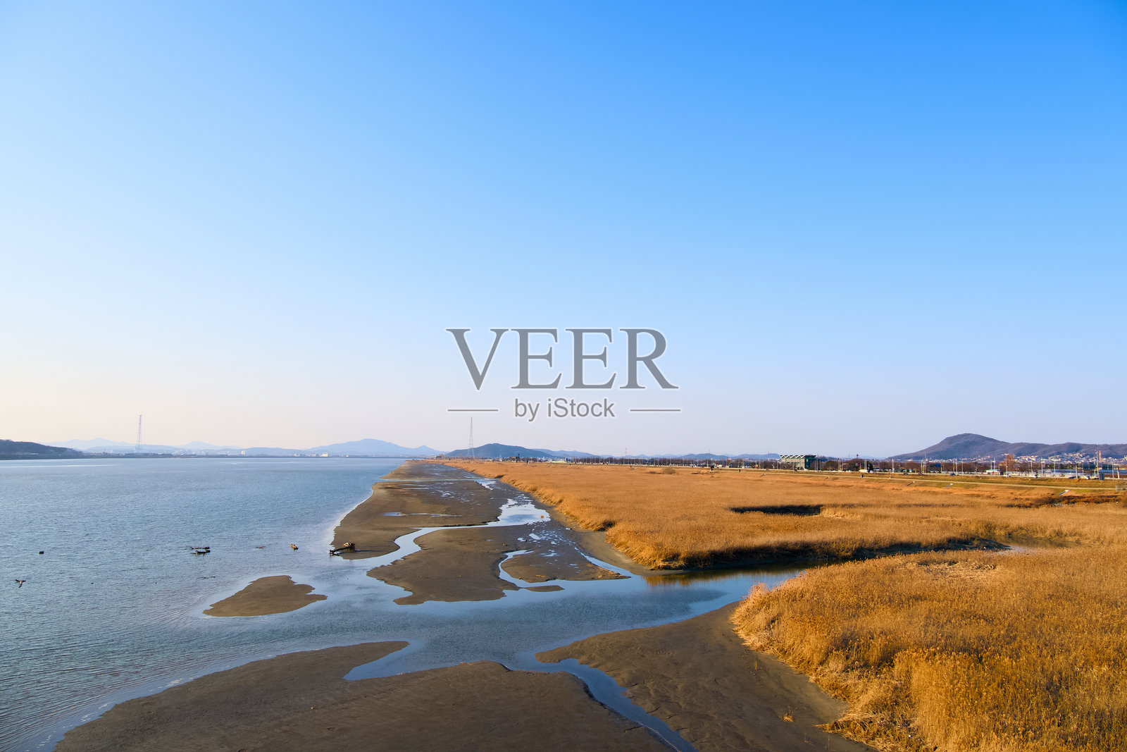 蓝天、宽阔的河流、滩涂和广阔的芦苇田照片摄影图片