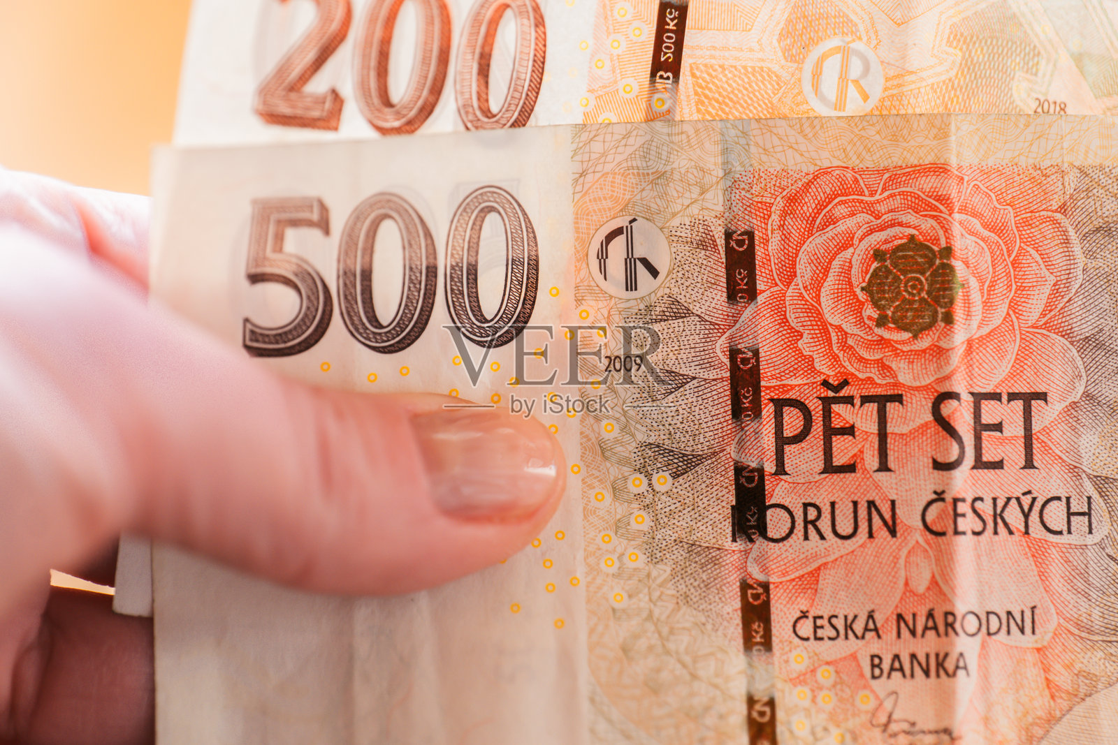 捷克克朗。手持捷克克朗纸币。数着捷克钱。现金克朗纸币特写。照片摄影图片