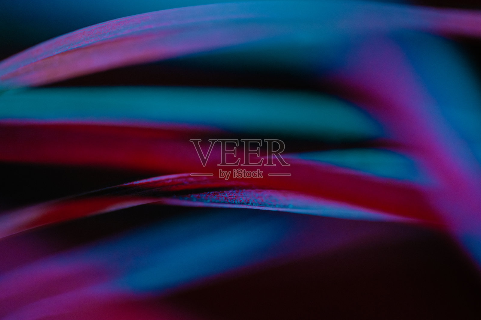 抽象模糊的红蓝热带叶子特写,在黑暗的巴厘岛夜花园中形成平滑的渐变线条和动态效果照片摄影图片