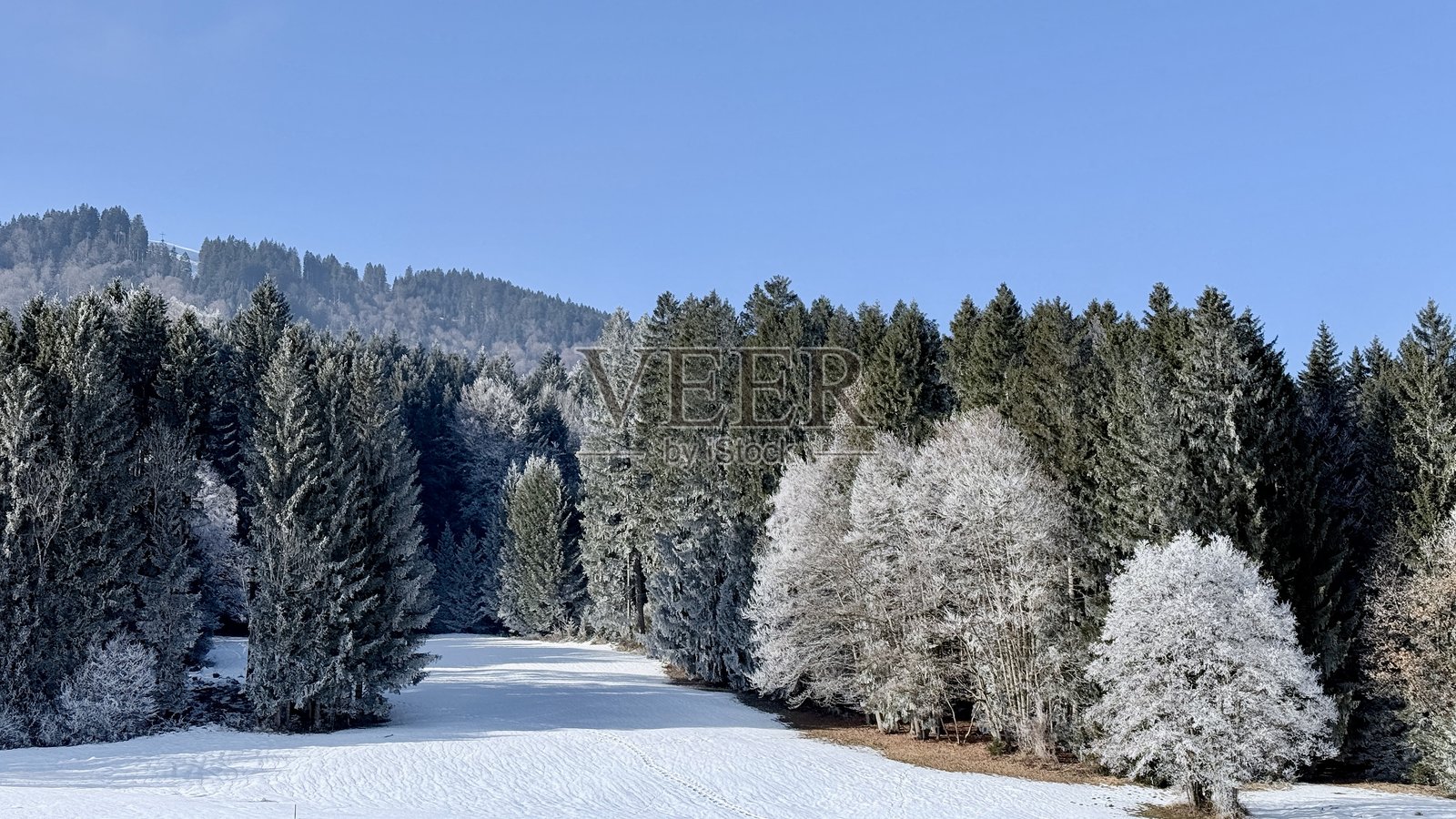 冬日景象照片摄影图片