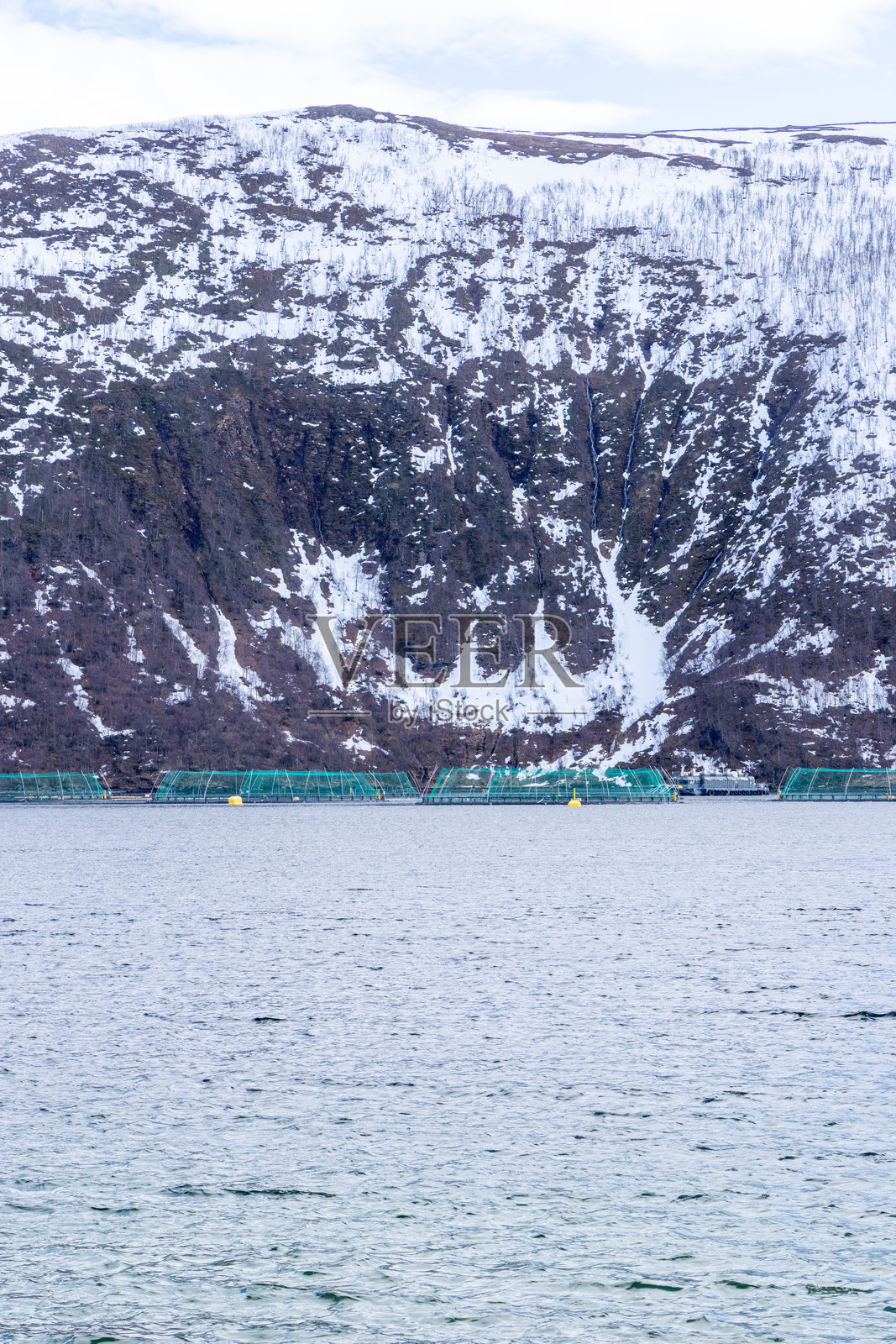 雪山峡湾的三文鱼养殖场照片摄影图片