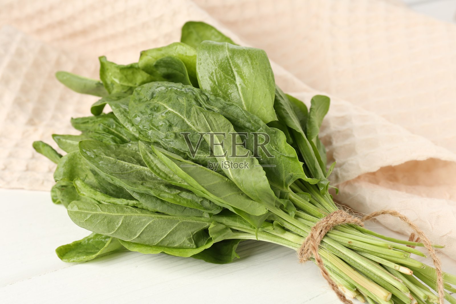 白色木桌上的一簇新鲜绿酸模叶,特写照片摄影图片