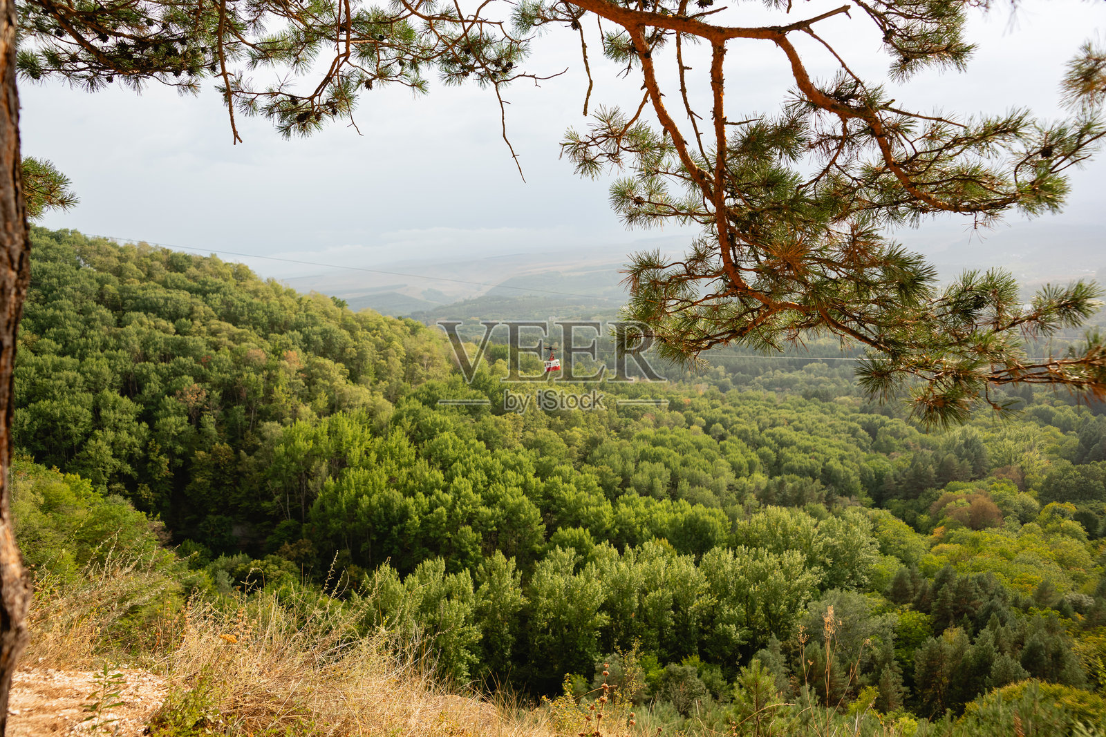 早秋时节,从山上俯瞰基斯洛沃茨克国家公园的苍翠树林照片摄影图片