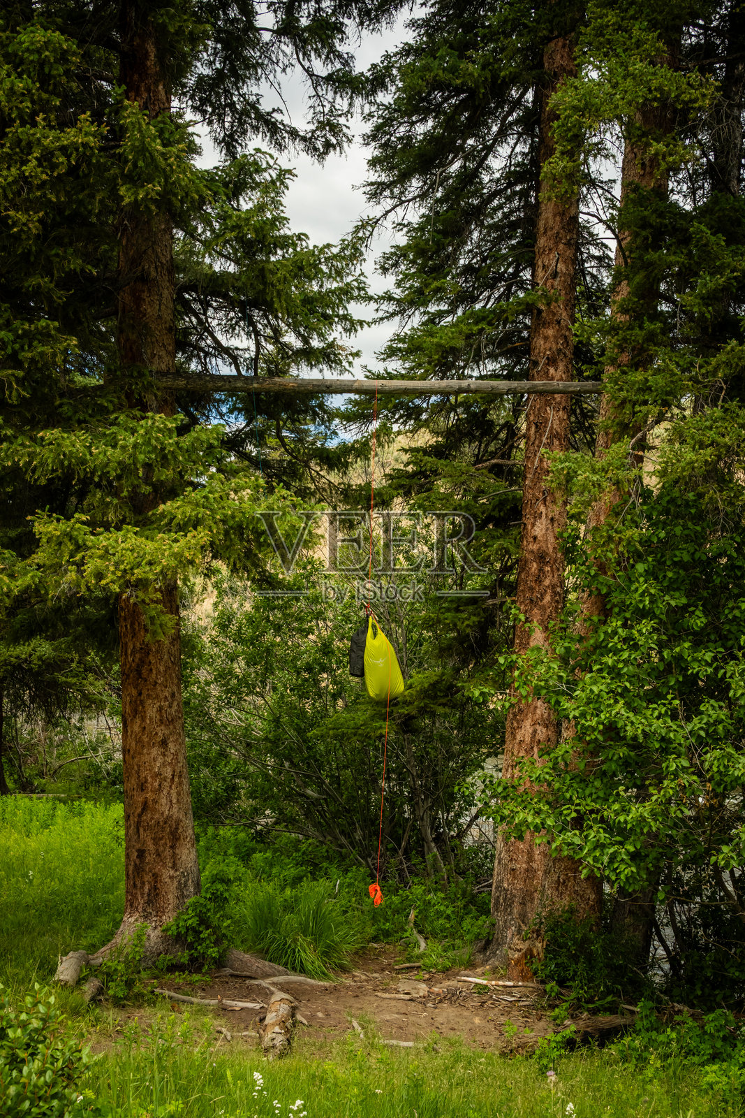 黄石公园使用PCT方法悬挂熊食物袋照片摄影图片