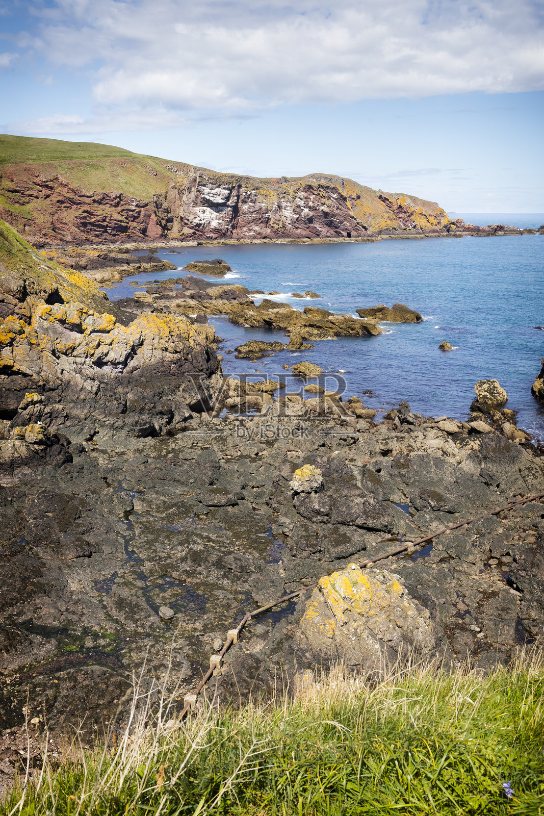 苏格兰假日 - 英国圣艾伯斯附近的海崖海岸照片摄影图片