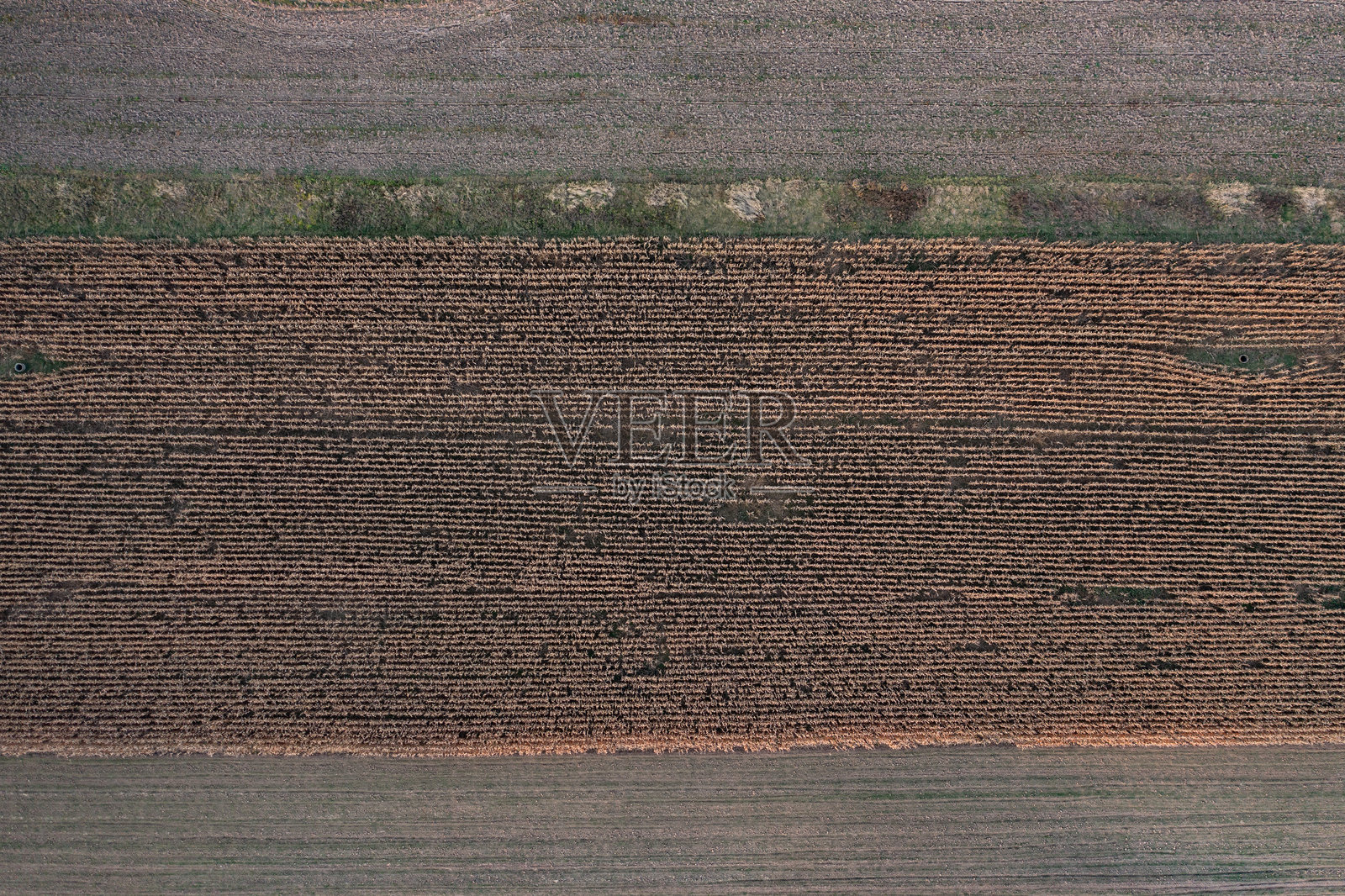 秋季耕地航拍图照片摄影图片