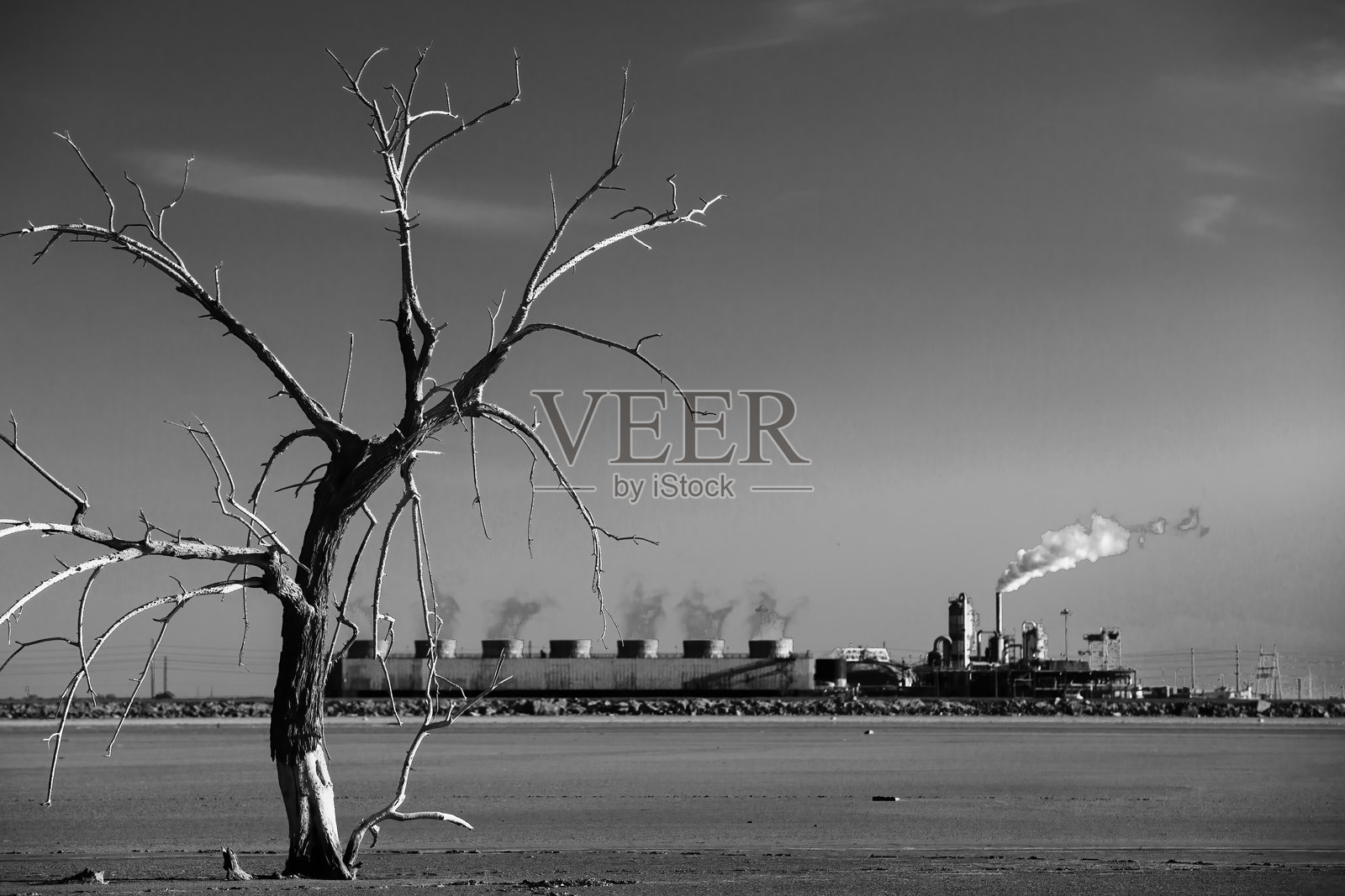 索尔顿海 - 枯树与地热发电站照片摄影图片
