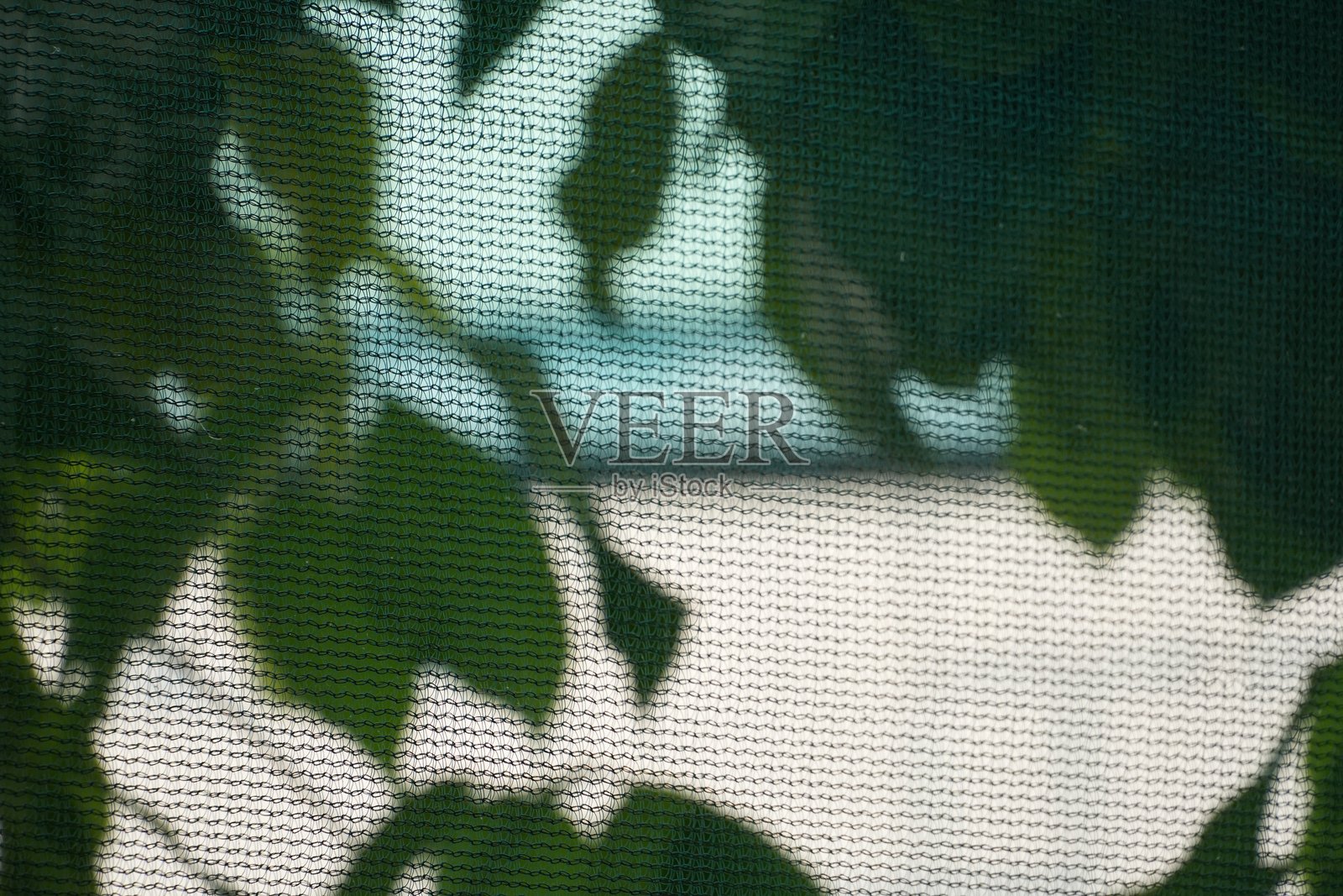 树叶的鲜明阴影投射在有纹理的绿色网格屏幕上。照片摄影图片