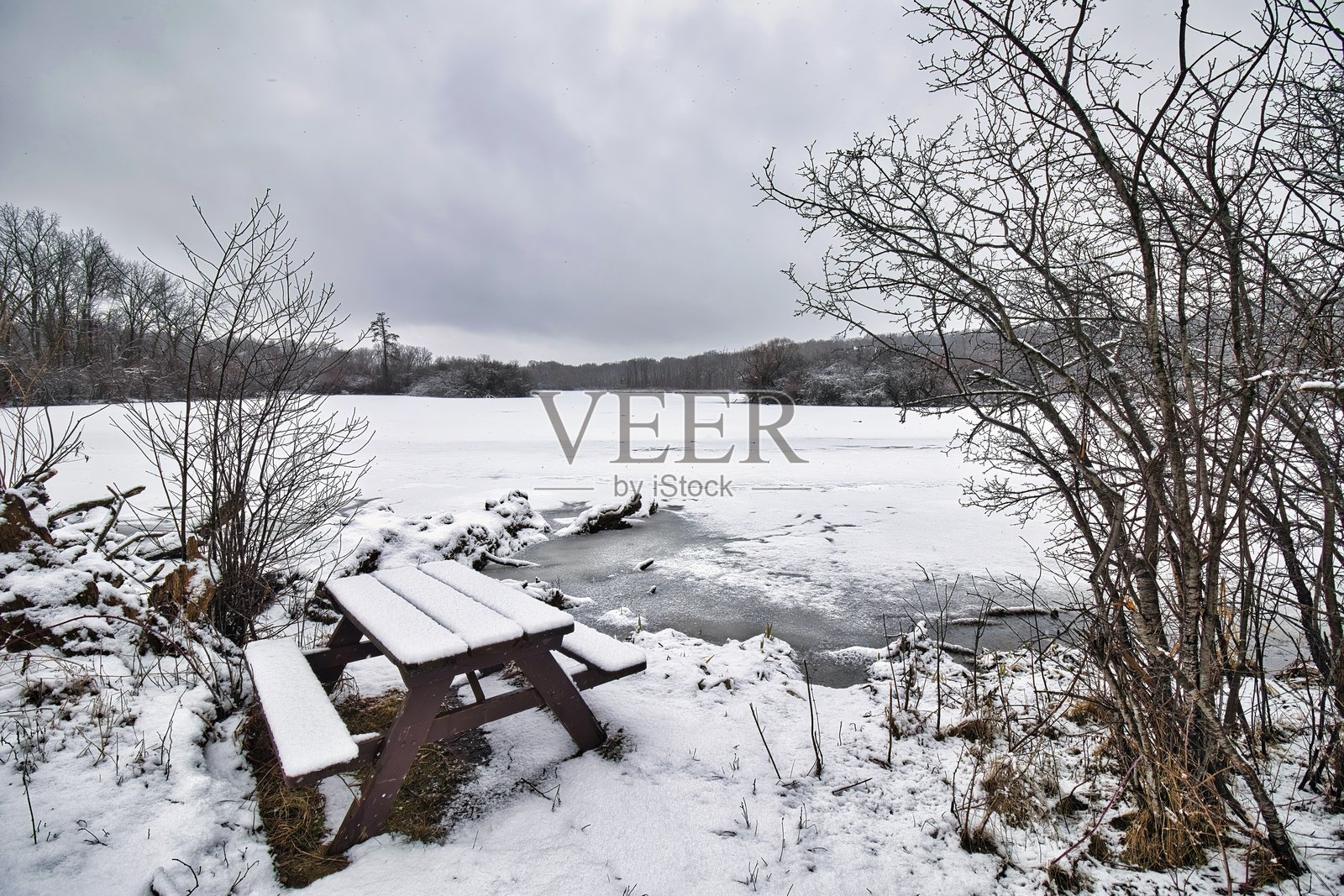 湖边的维尔桌照片摄影图片