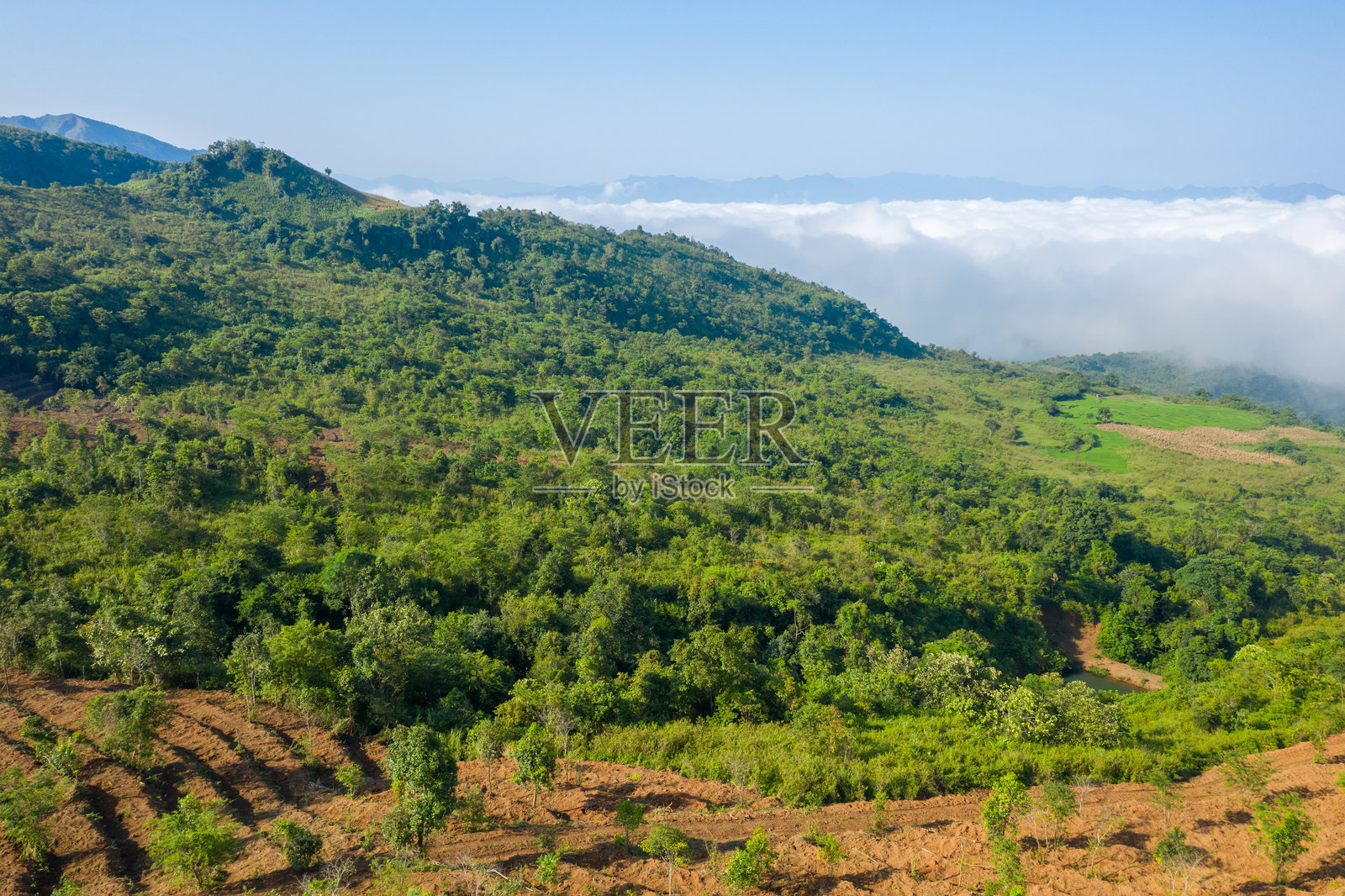 云海覆盖森林丘陵,奠边照片摄影图片