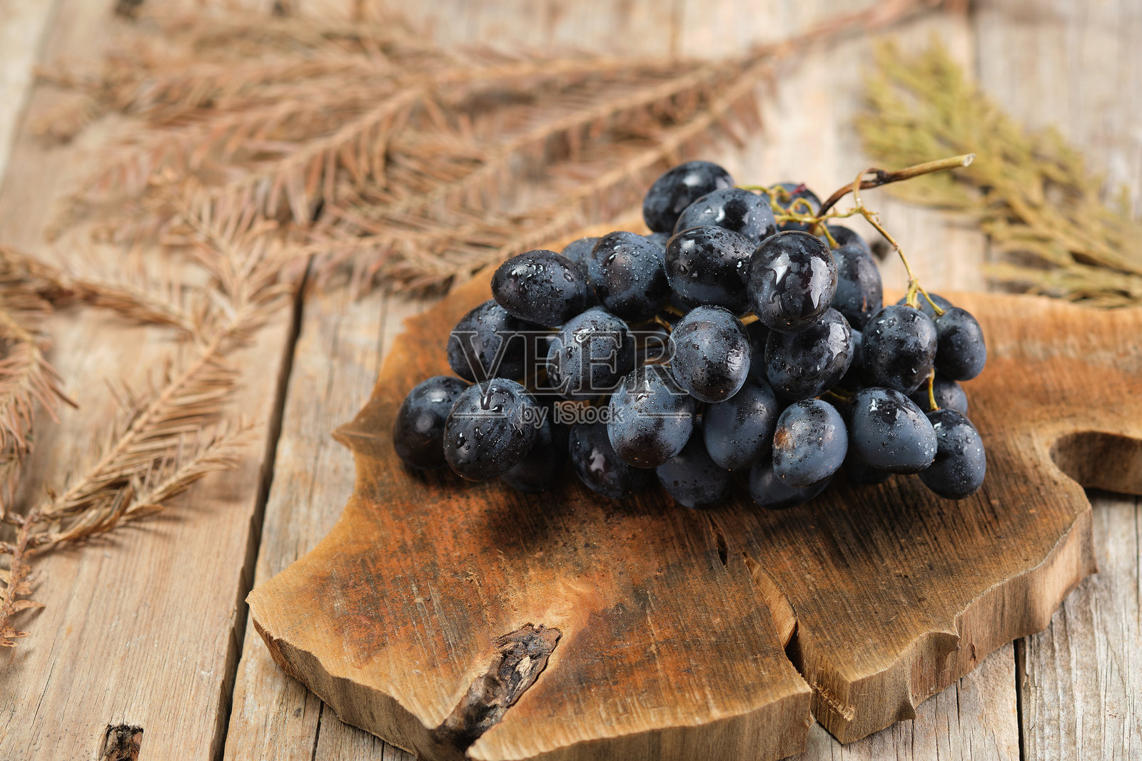 带有乡村细节的黑色新鲜葡萄放在自然环境的木桌上照片摄影图片